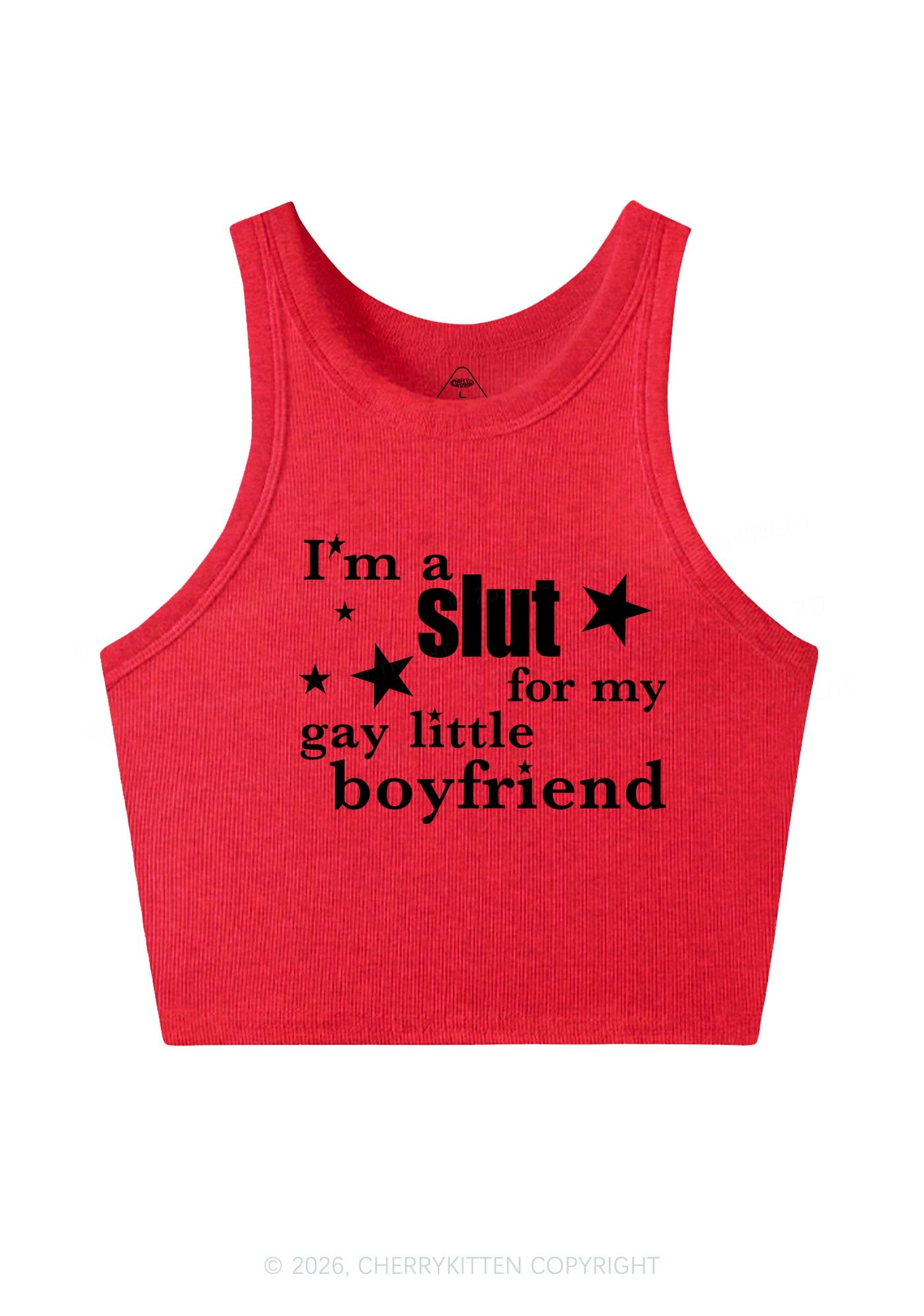 Slxt For My Gay Little BF Pride Y2K Crop Tank Top Cherrykitten