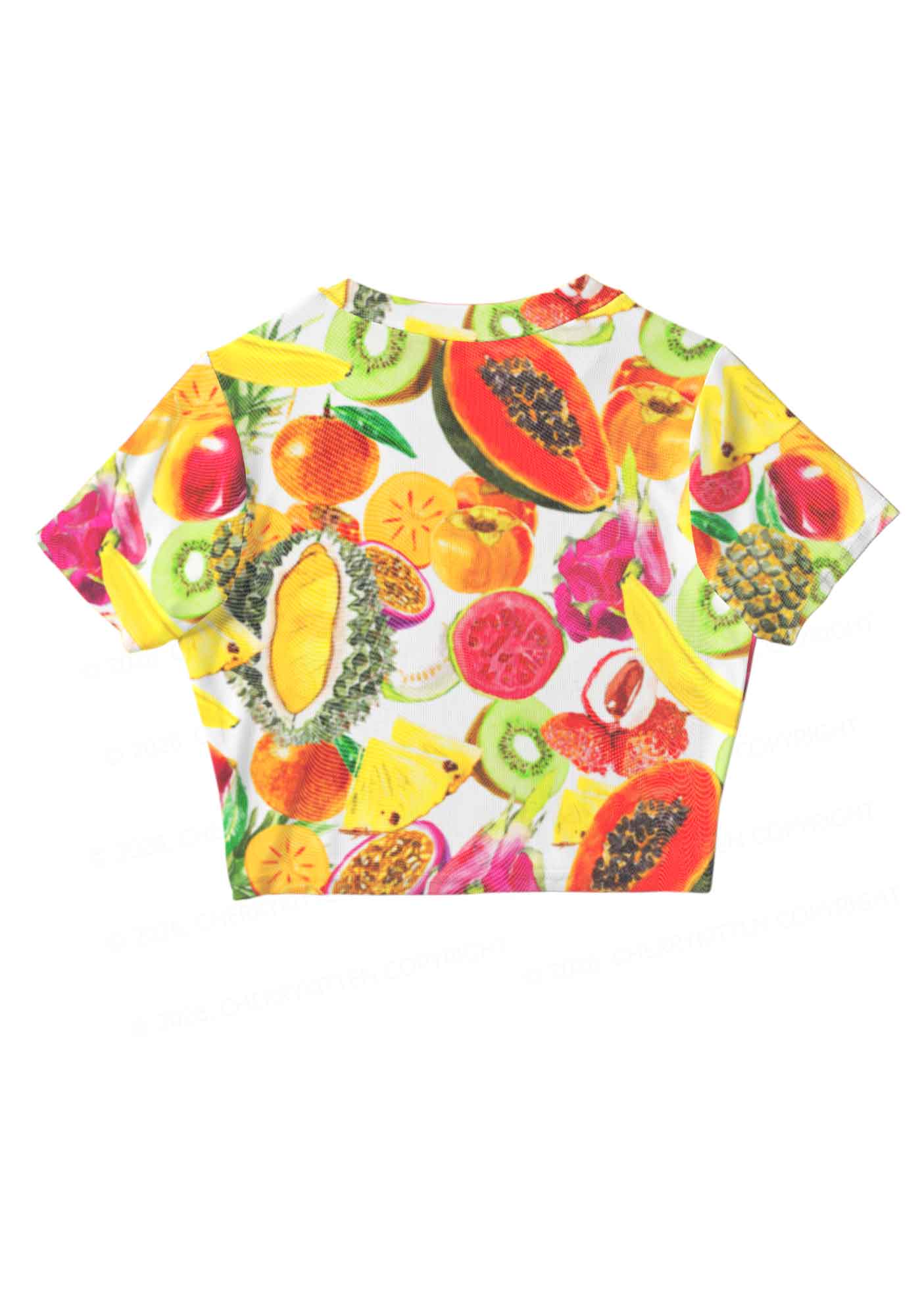 Tropical Fruit Pride Y2K Mesh Crop Top Cherrykitten