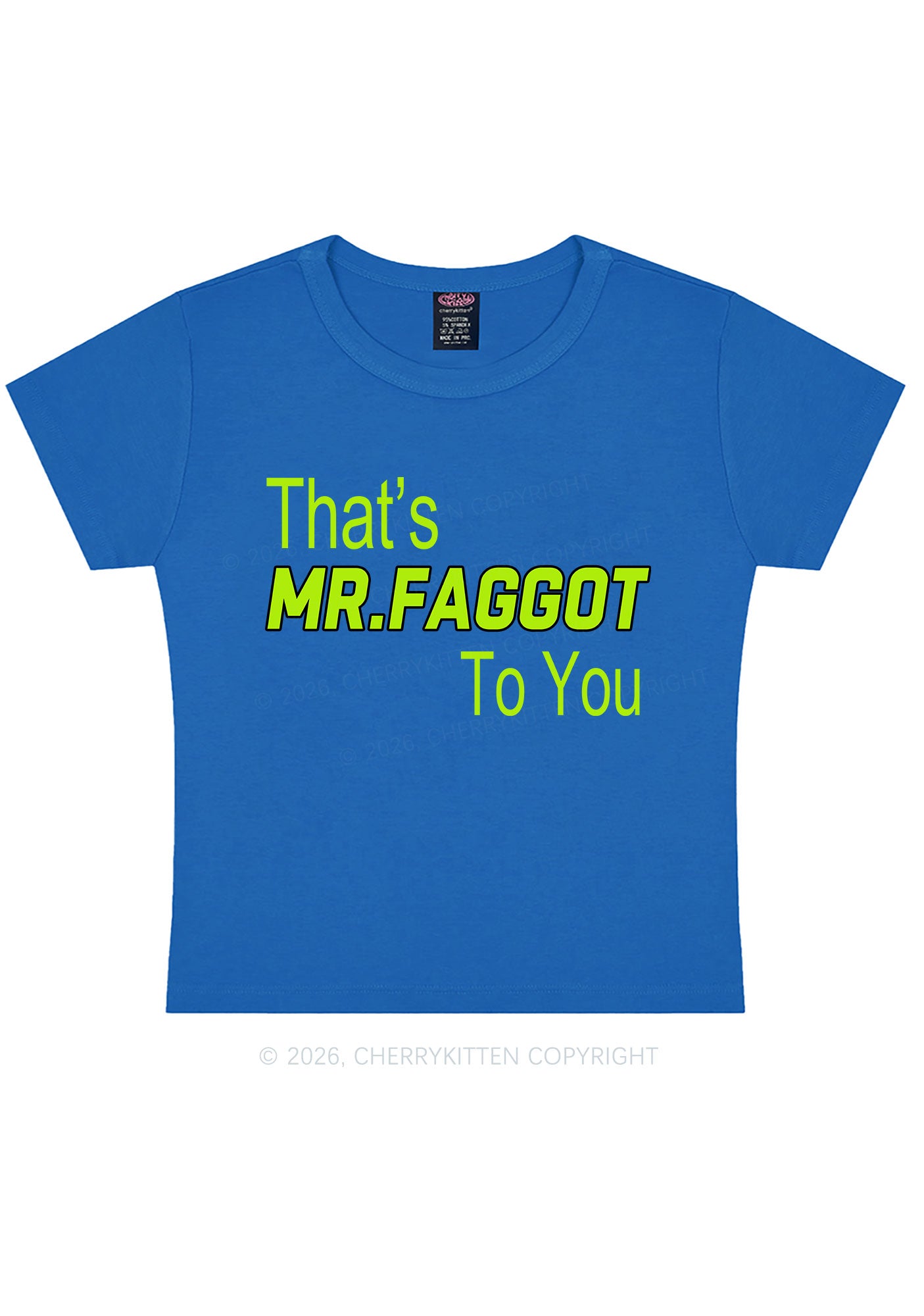 Thats Mr Faggot To You Pride Y2K Baby Tee Cherrykitten
