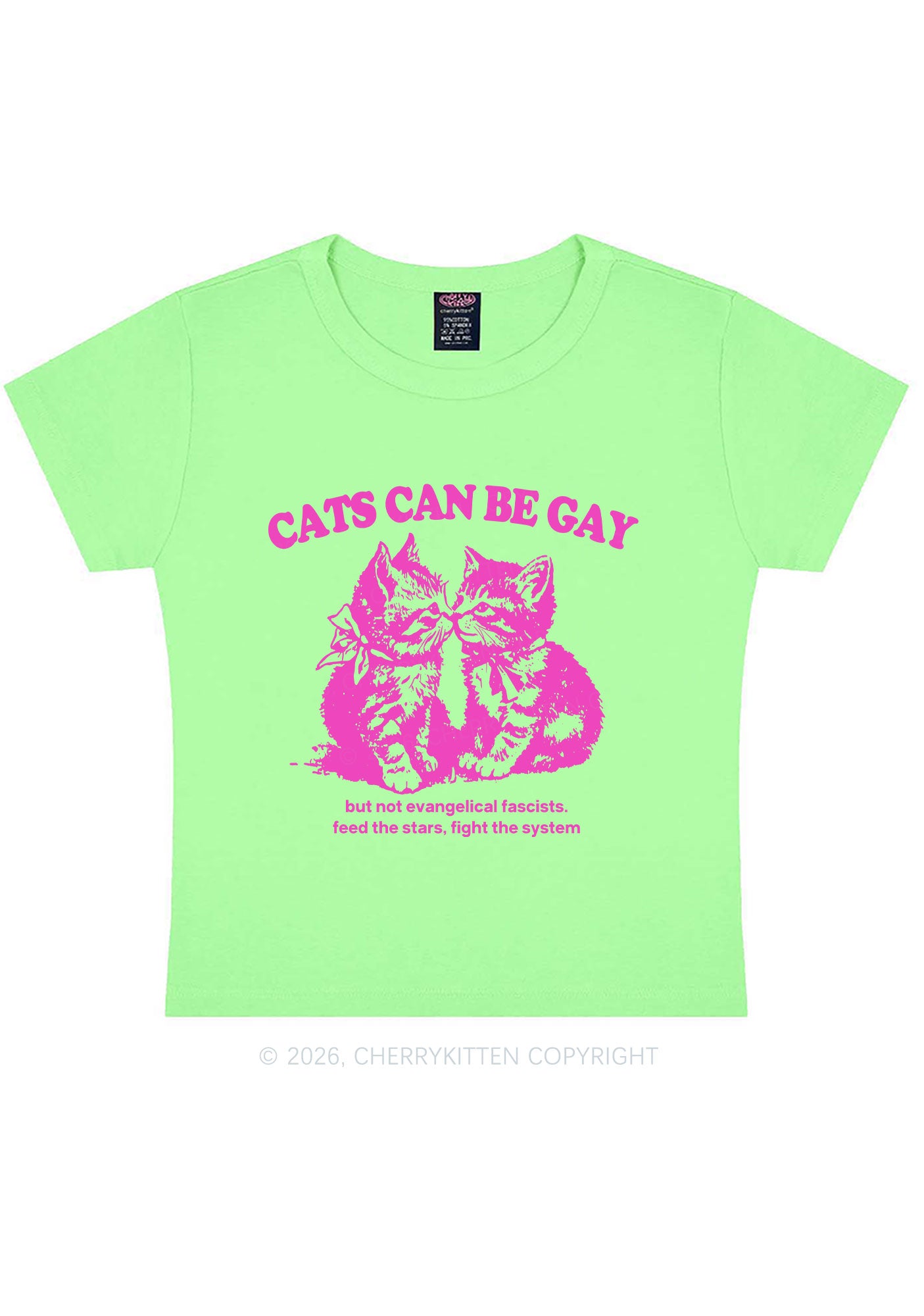 Cat Can Be Gay Pride Y2K Baby Tee Cherrykitten
