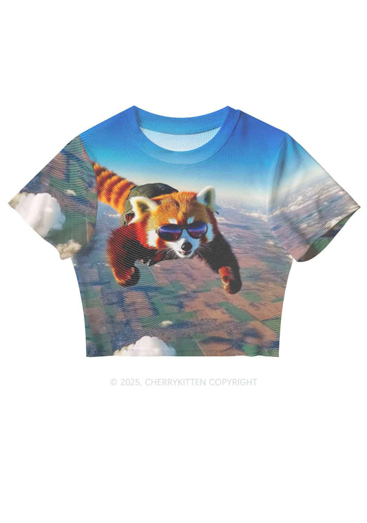 Flying Cool Raccoon Y2K Mesh Crop Top Cherrykitten