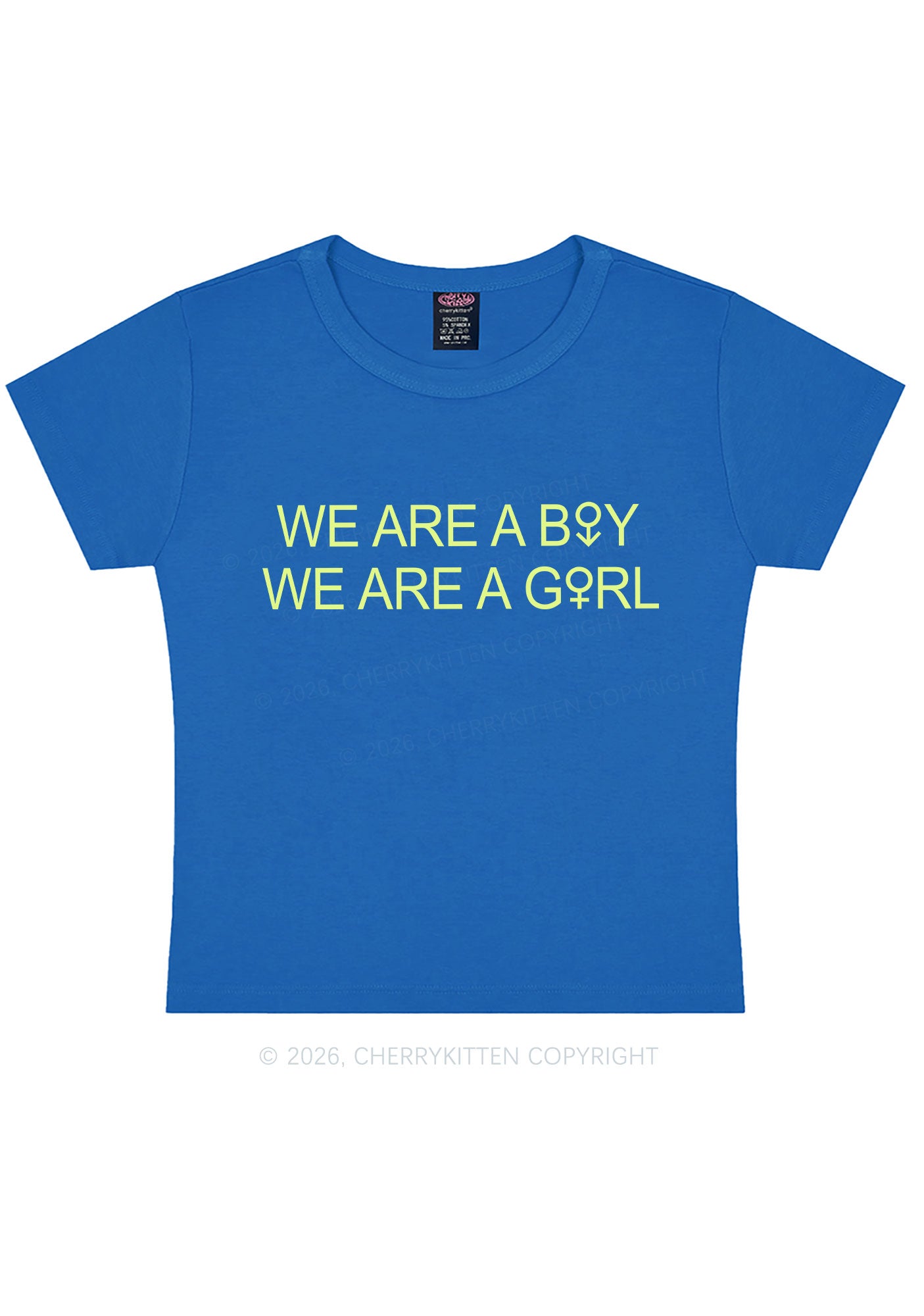We Are A Boy Pride Y2K Baby Tee Cherrykitten