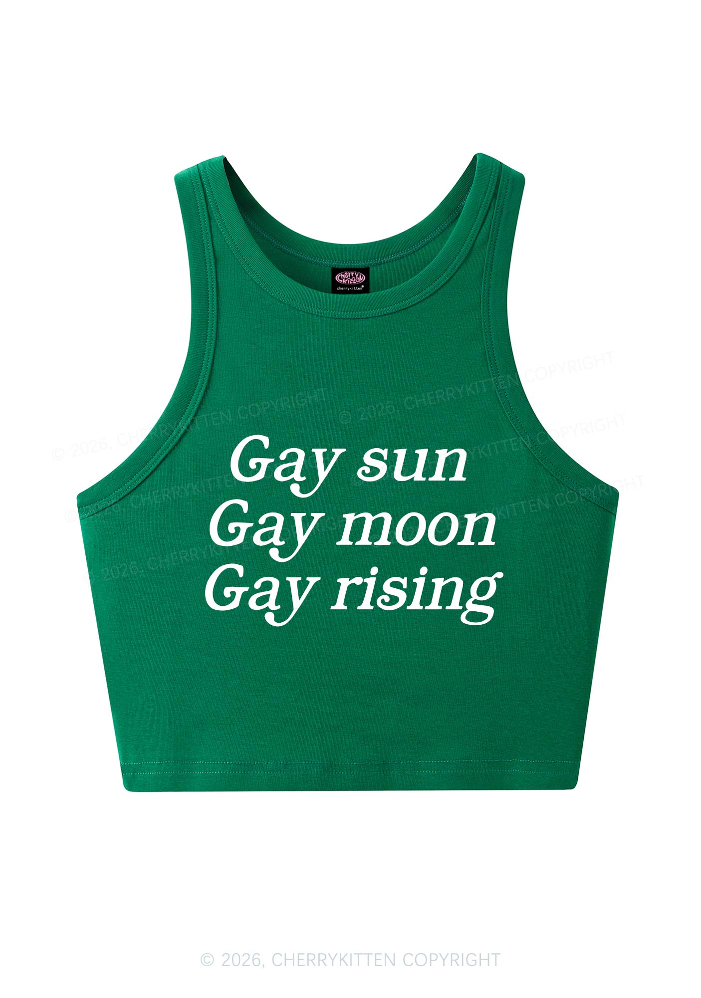 Gay Sun Moon Rising Pride Y2K Crop Tank Top Cherrykitten