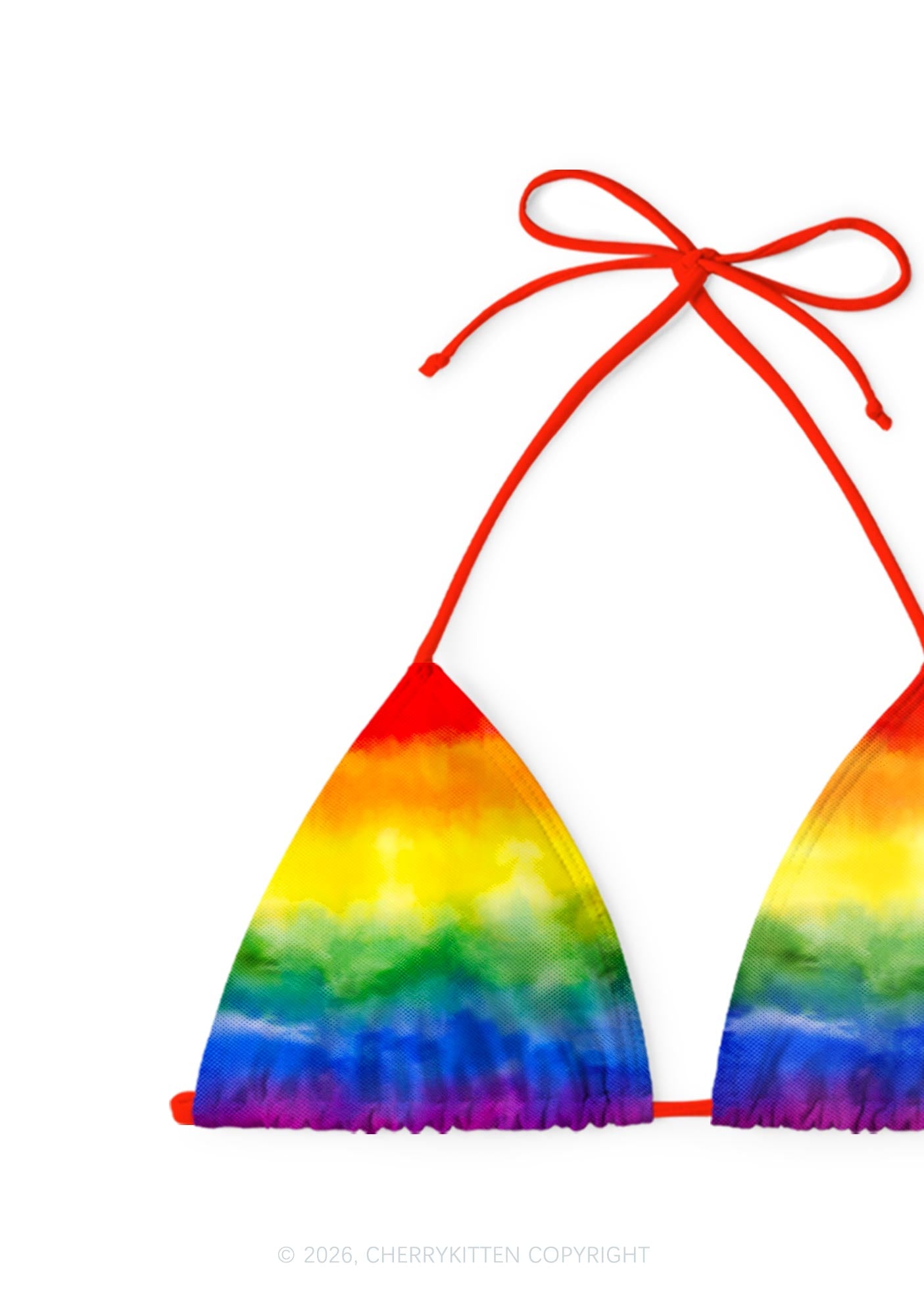 Rainbow Flag Pride Y2K Print Bikini Set Cherrykitten