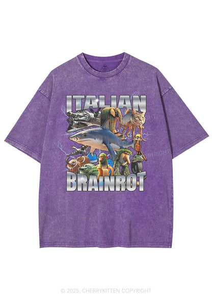 Italian Brainrot Collection Y2K Shirts Washed Tee Cherrykitten