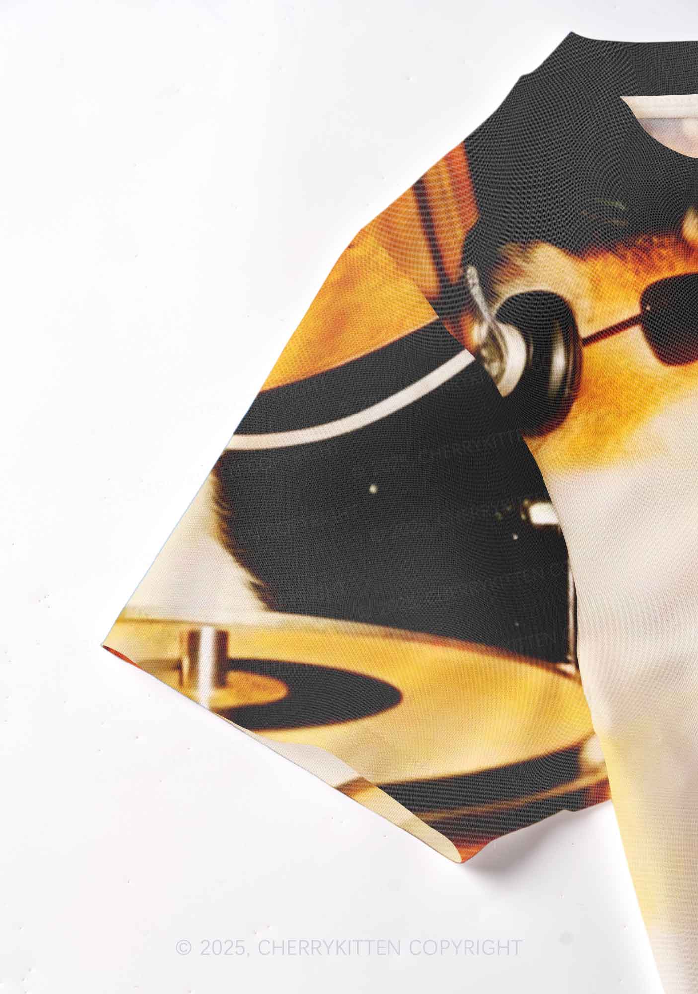 Rats Drummer Y2K Mesh Crop Top Cherrykitten