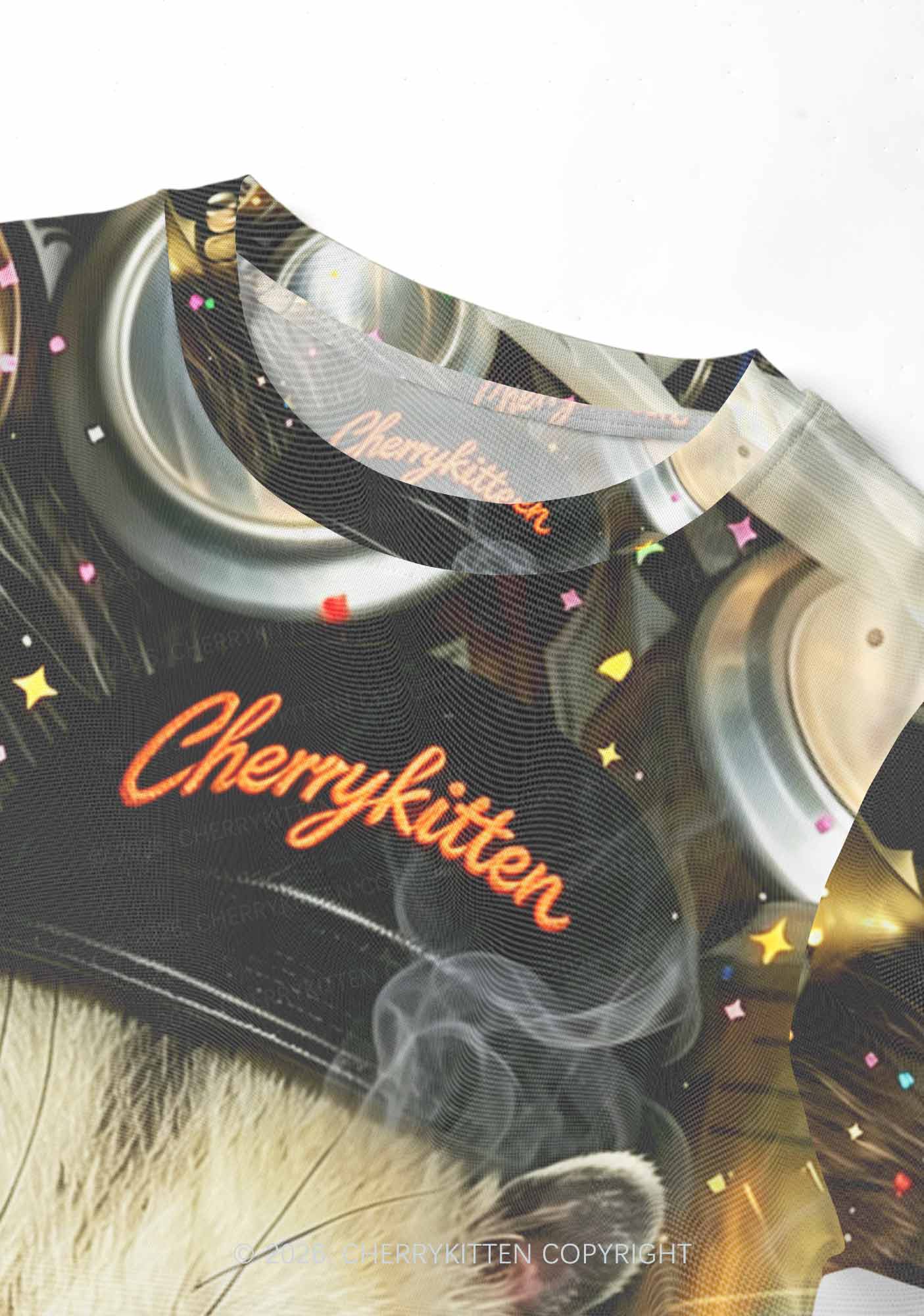 Smoking Opossum Y2K Mesh Crop Top Cherrykitten