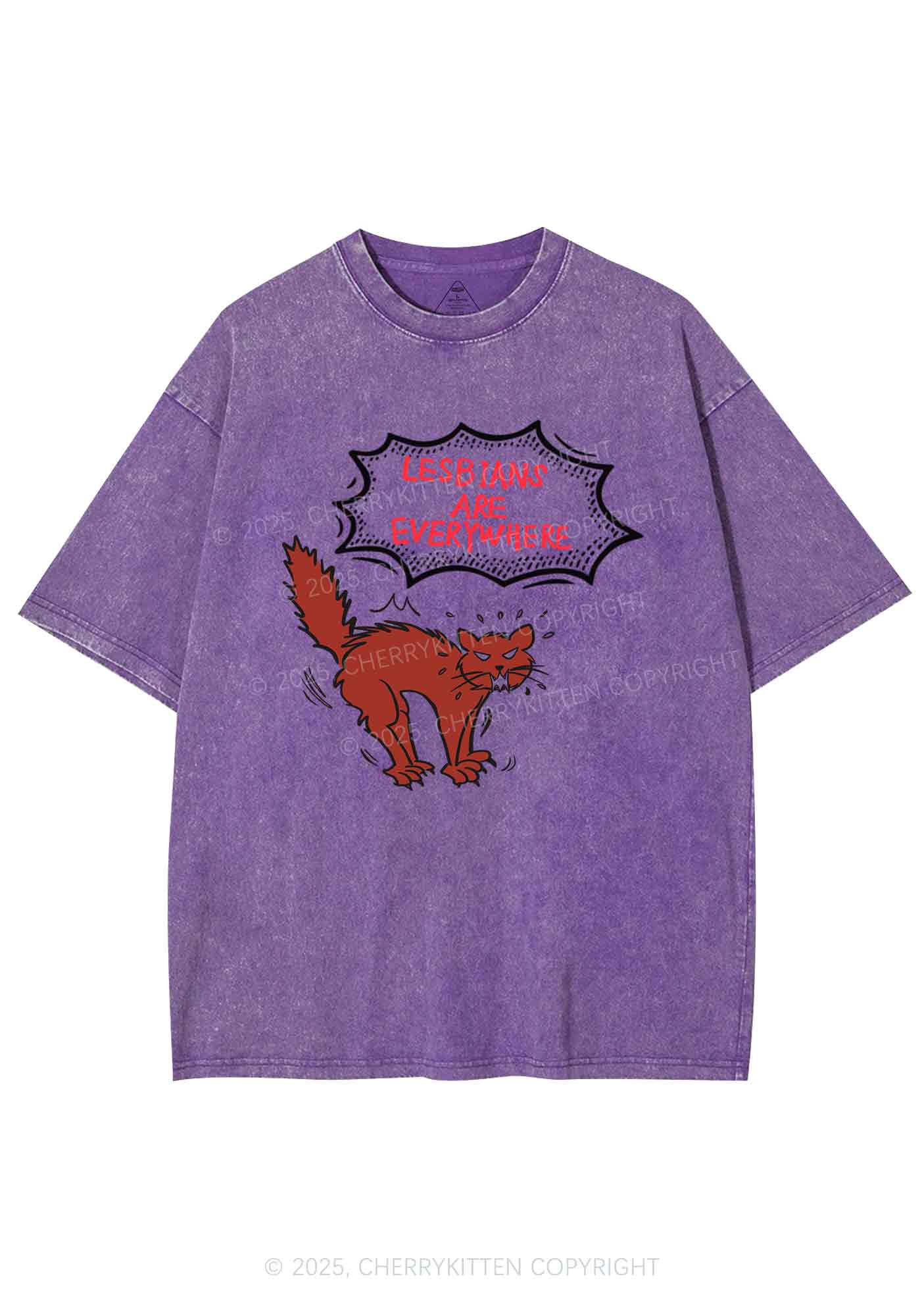 Lesbians Are Everywhere Y2K Shirts Washed Tee Cherrykitten