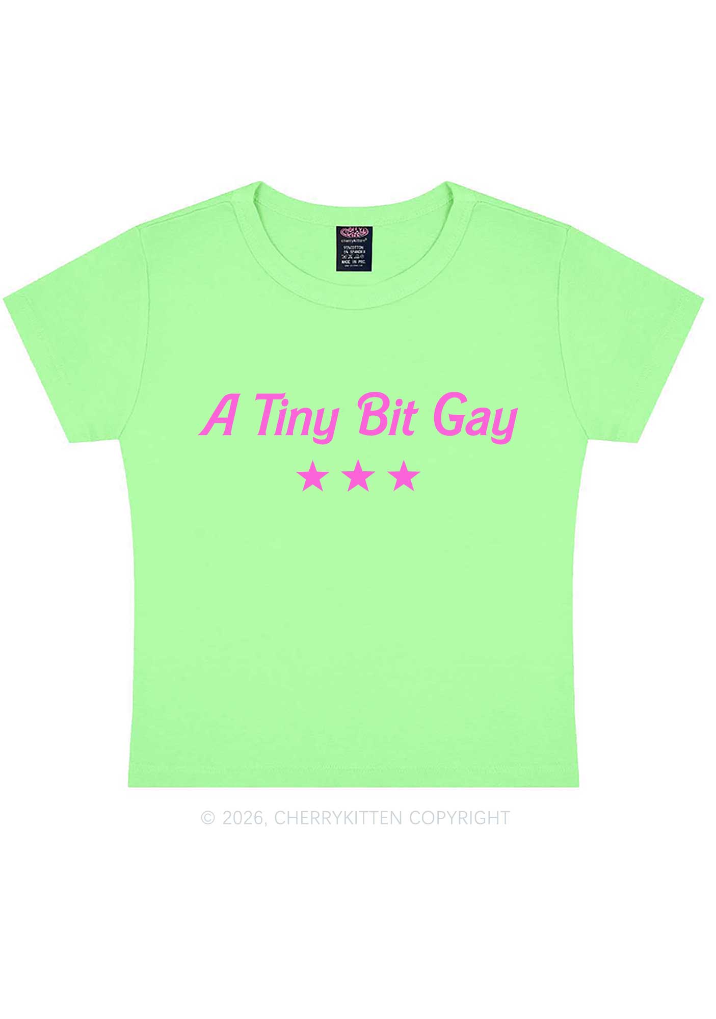 A Tiny Bit Gay Pride Y2K Baby Tee Cherrykitten