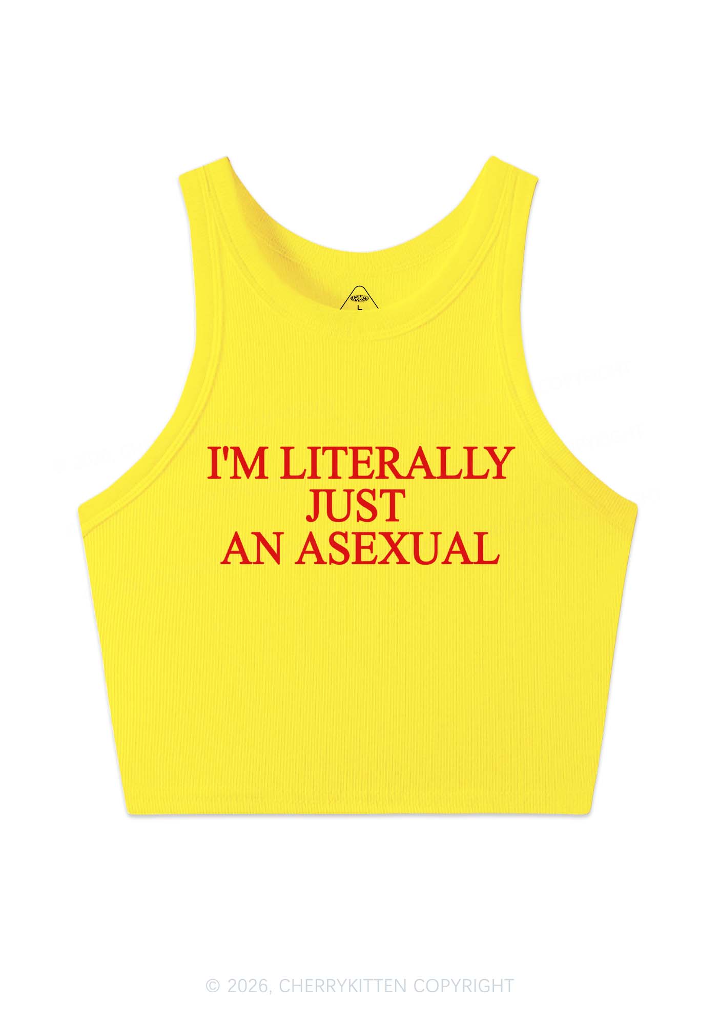 Im Literally Just An Asexual Pride Y2K Crop Tank Top Cherrykitten