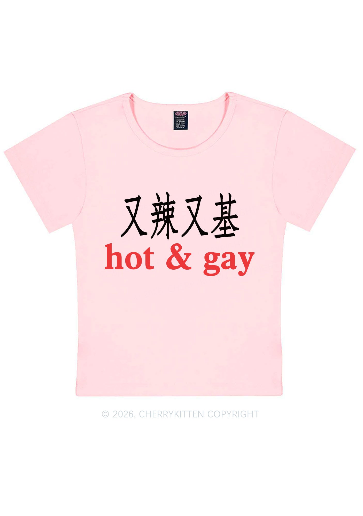 Hot Gay Pride Y2K Baby Tee Cherrykitten