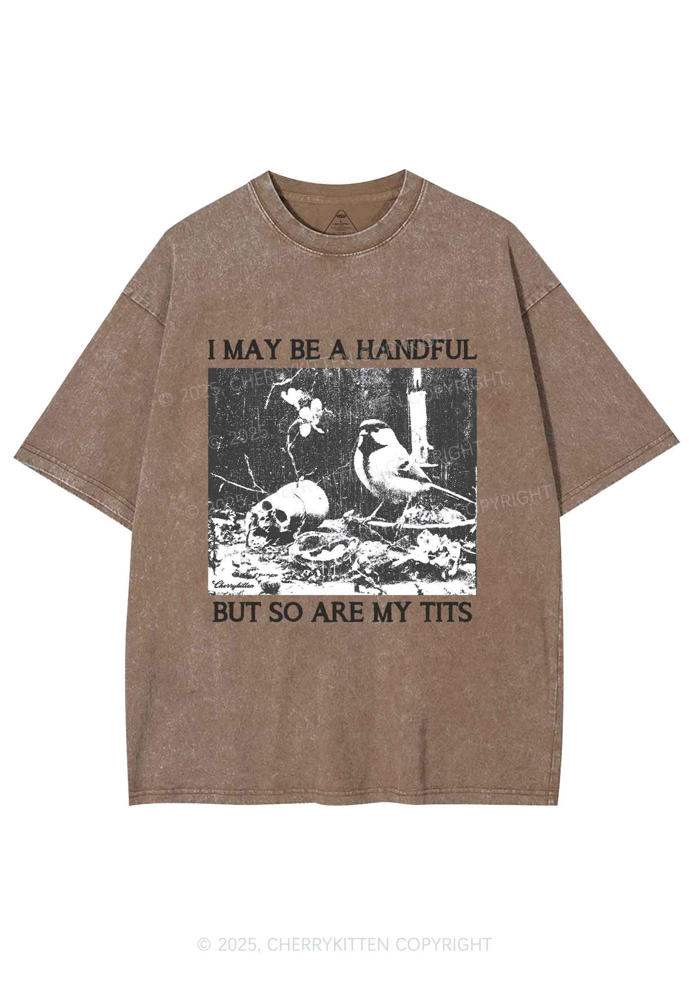 Halloween I May Be A Handful Y2K Shirts Washed Tee Cherrykitten