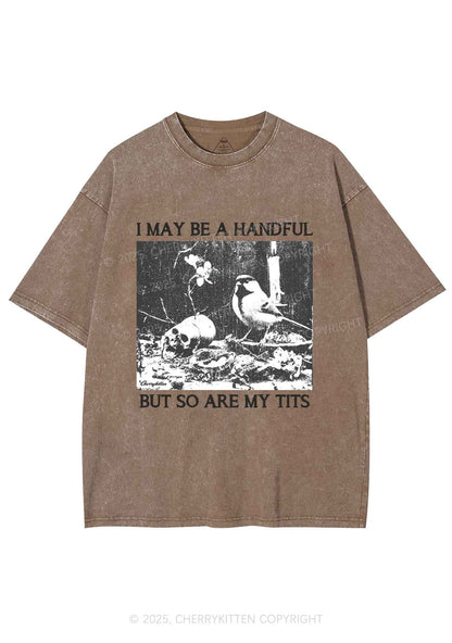 Halloween I May Be A Handful Y2K Shirts Washed Tee Cherrykitten