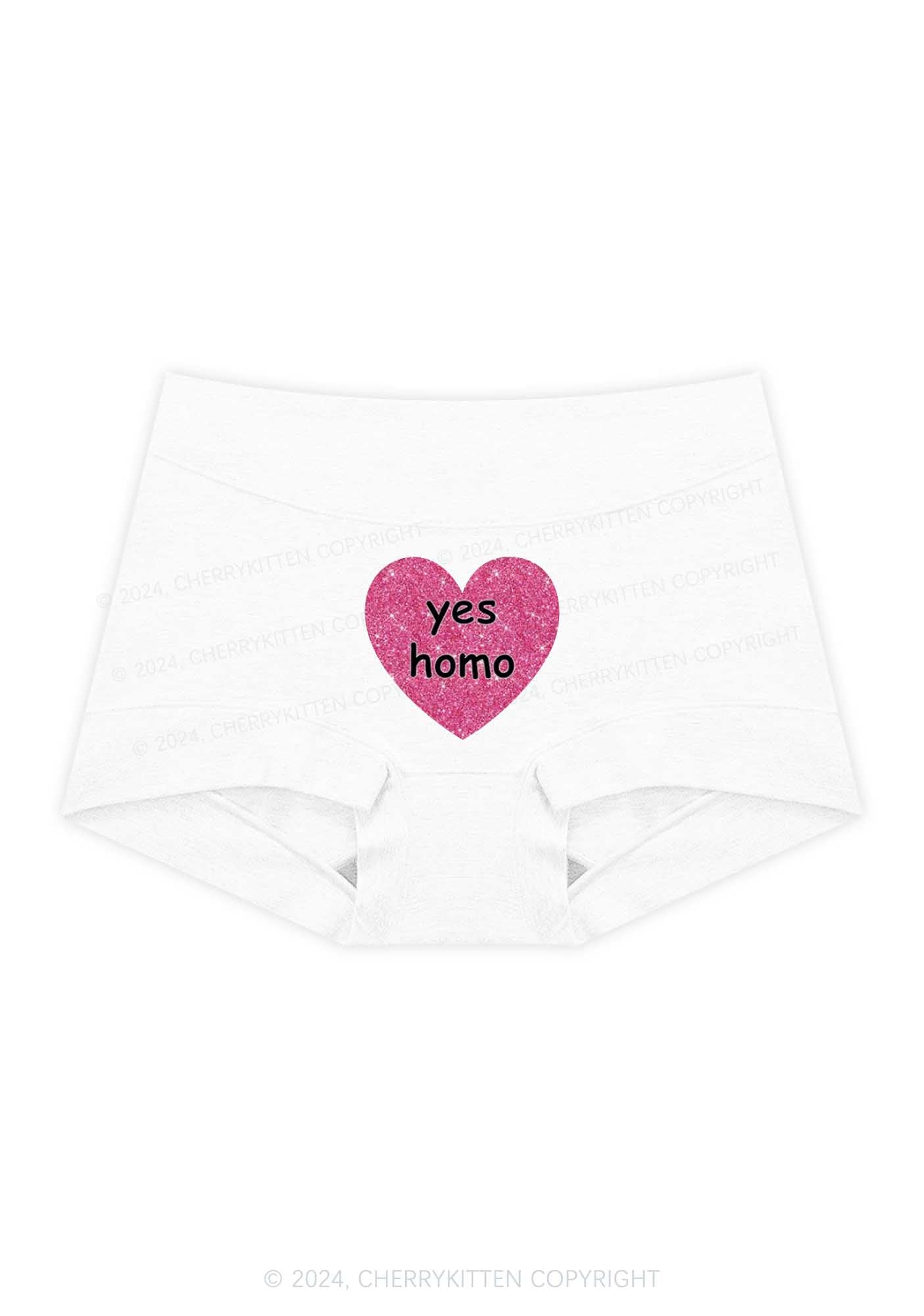 Yes Homo Y2K Mid Rise Waist Boyshort Cherrykitten