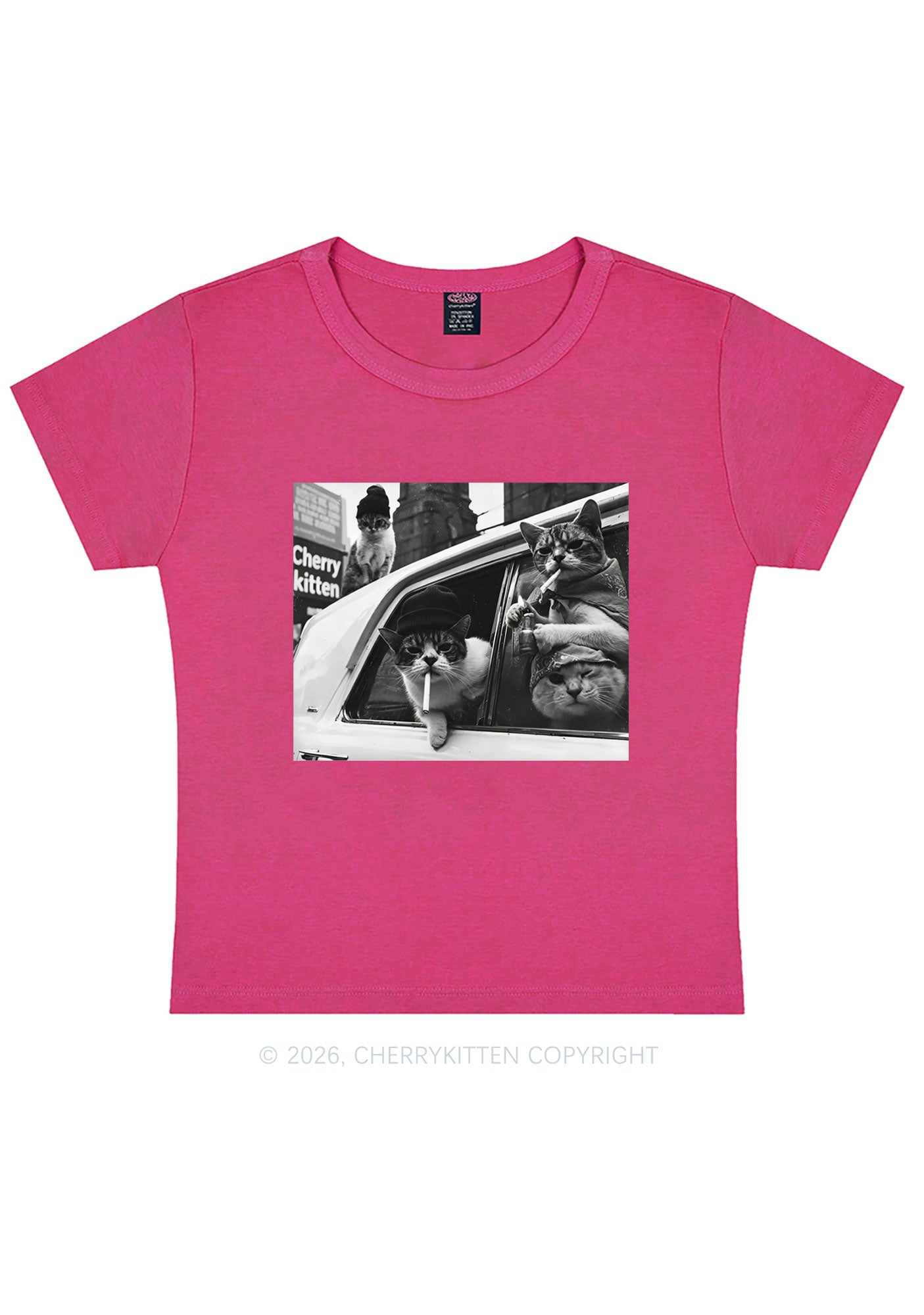 Cats Smoke In Car Y2K Baby Tee Cherrykitten