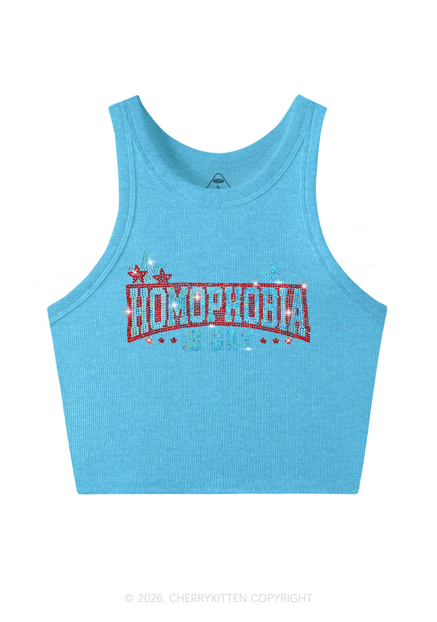 Rhinestone Homophobia Is Gay Pride Y2K Crop Tank Top Cherrykitten