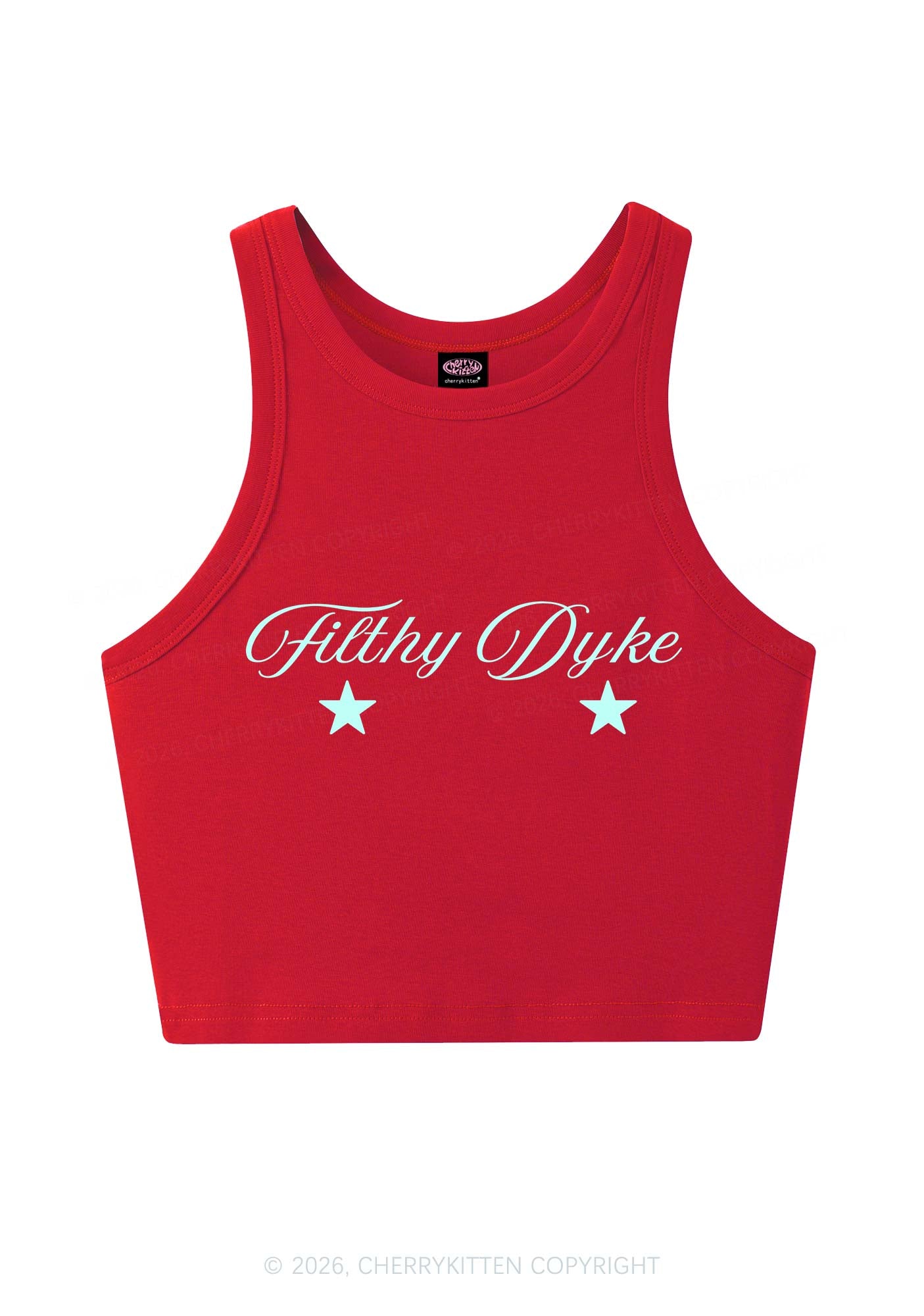 Filthy Dyke Pride Y2K Crop Tank Top Cherrykitten