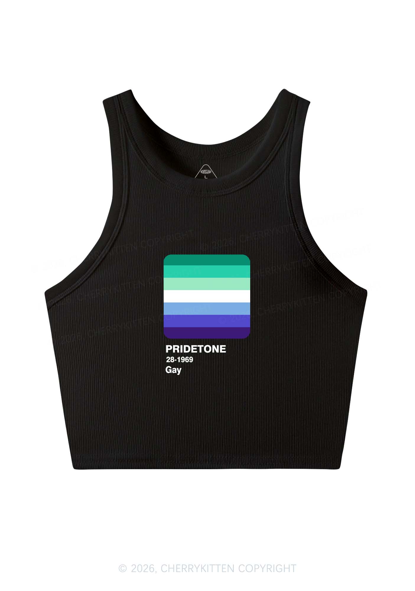 Pridetone Gay Pride Y2K Crop Tank Top Cherrykitten