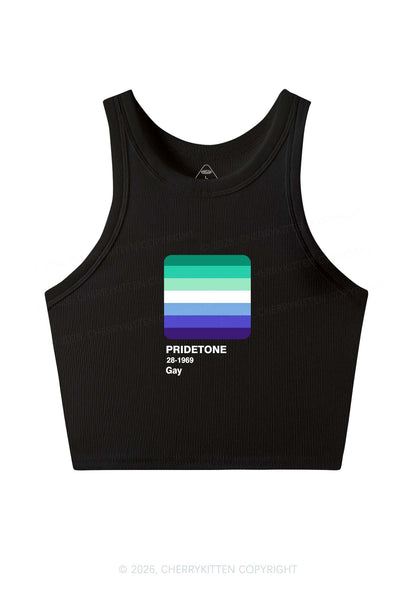 Pridetone Gay Pride Y2K Crop Tank Top Cherrykitten