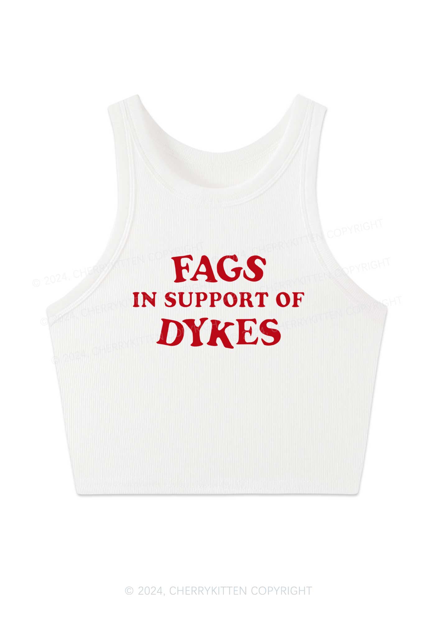 Fags Dykes Y2K Crop Tank Top Cherrykitten