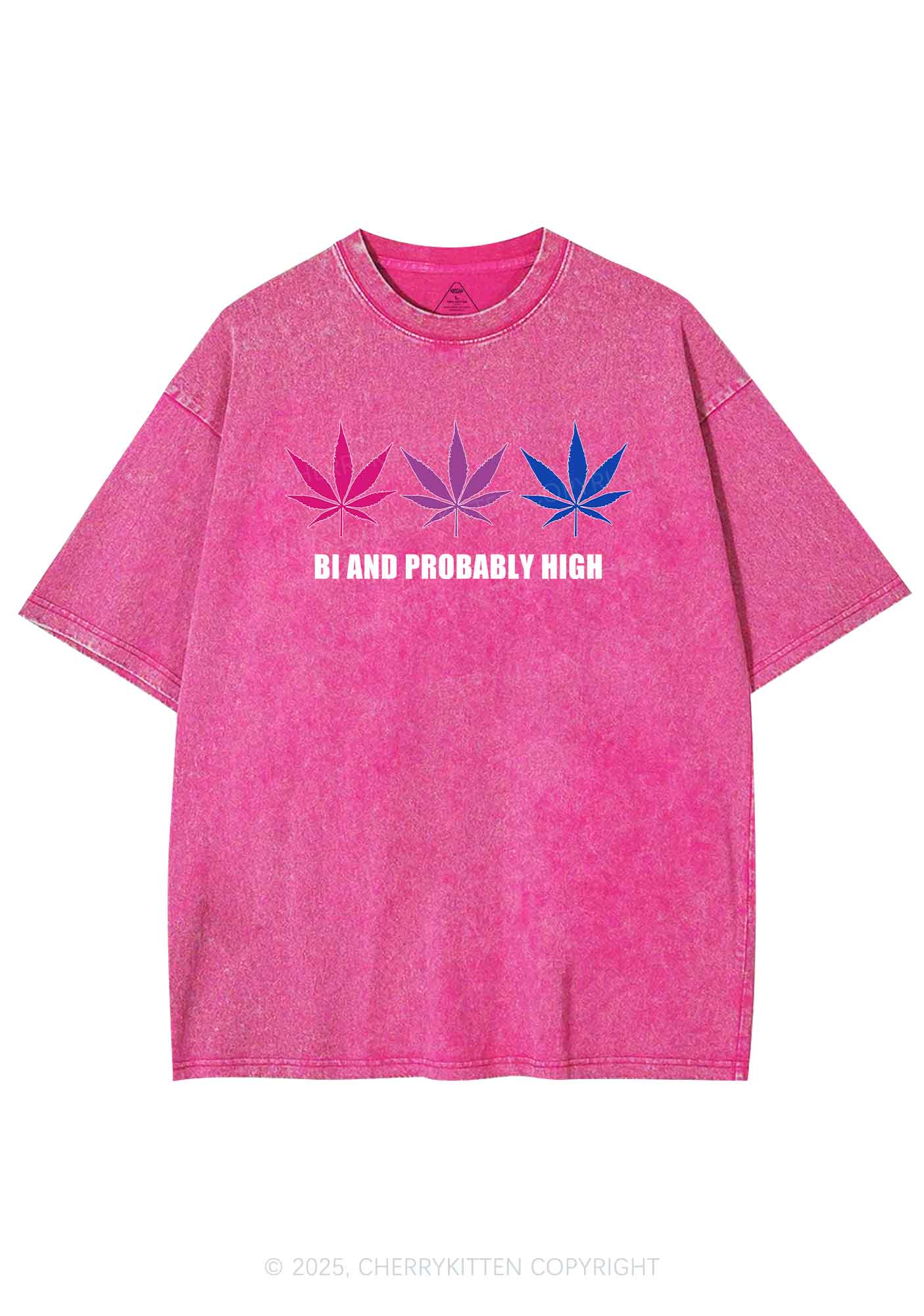 Bi Probably High Pride Y2K Shirts Washed Tee Cherrykitten