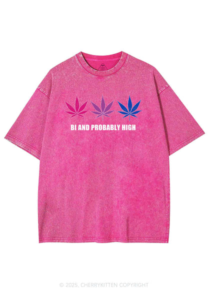 Bi Probably High Pride Y2K Shirts Washed Tee Cherrykitten