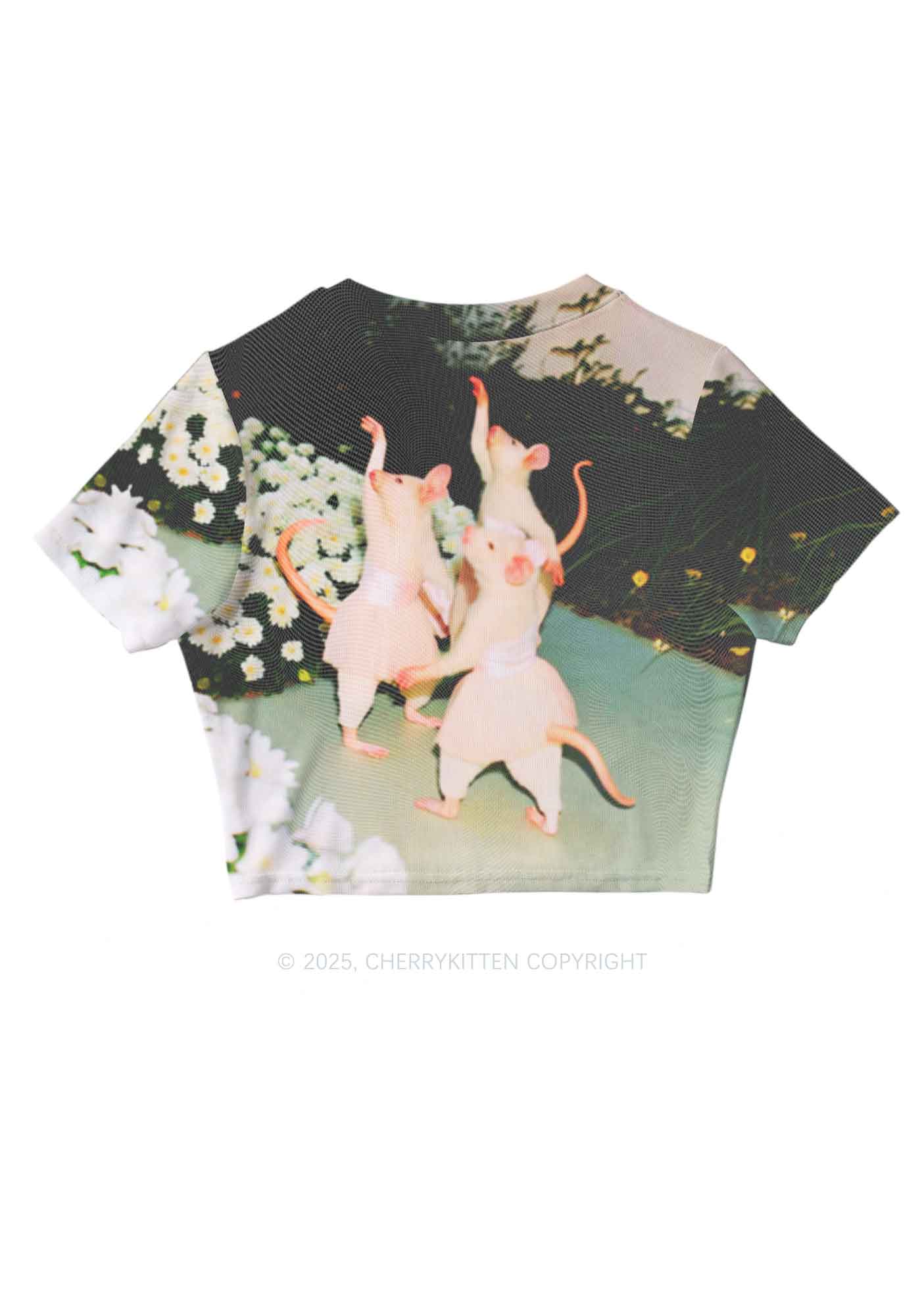 Ballet Rats Y2K Mesh Crop Top Cherrykitten