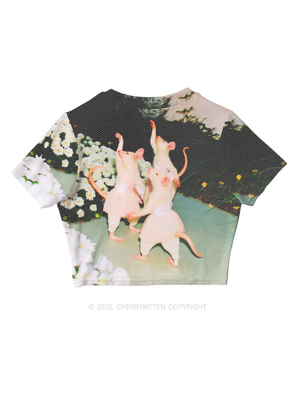 Ballet Rats Y2K Mesh Crop Top Cherrykitten