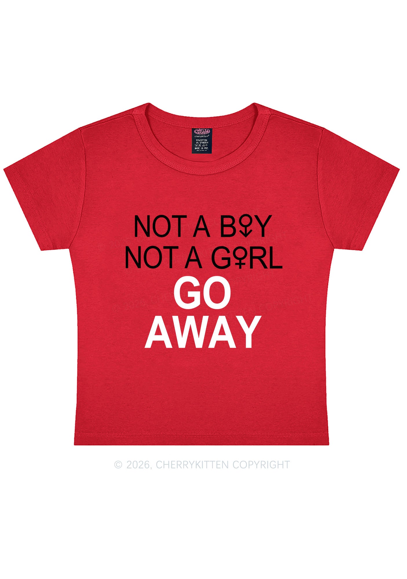 Go Away Pride Y2K Baby Tee Cherrykitten