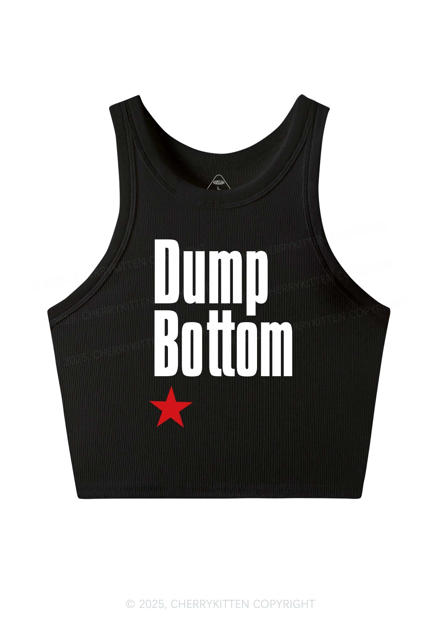 Dump Bottom Pride Y2K Crop Tank Top Cherrykitten