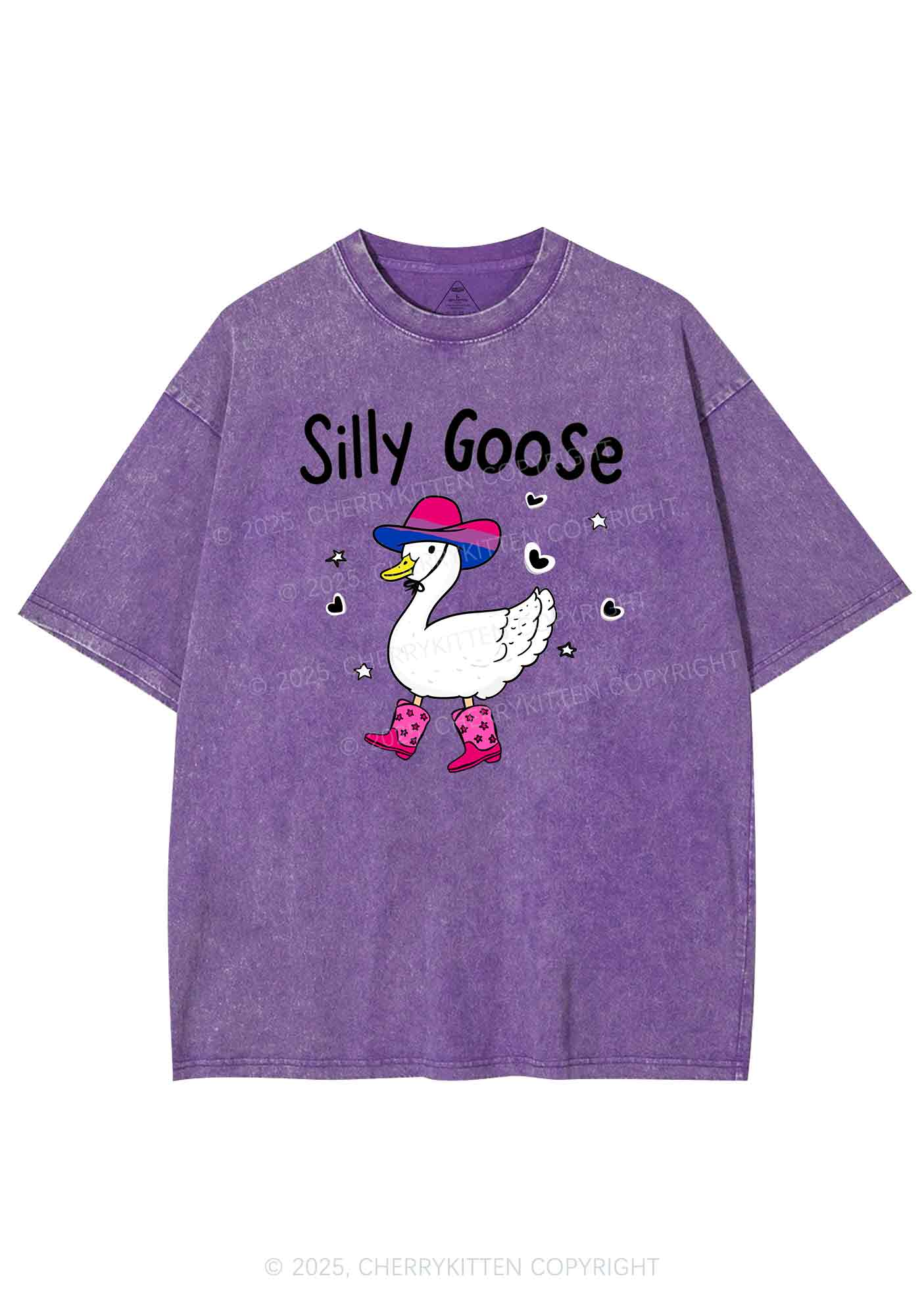 Silly Goose Bisexual Pride Y2K Shirts Washed Tee Cherrykitten