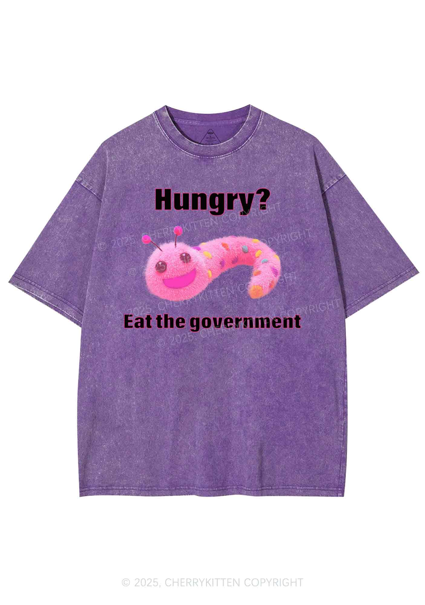Eat The Government Y2K Shirts Washed Tee Cherrykitten