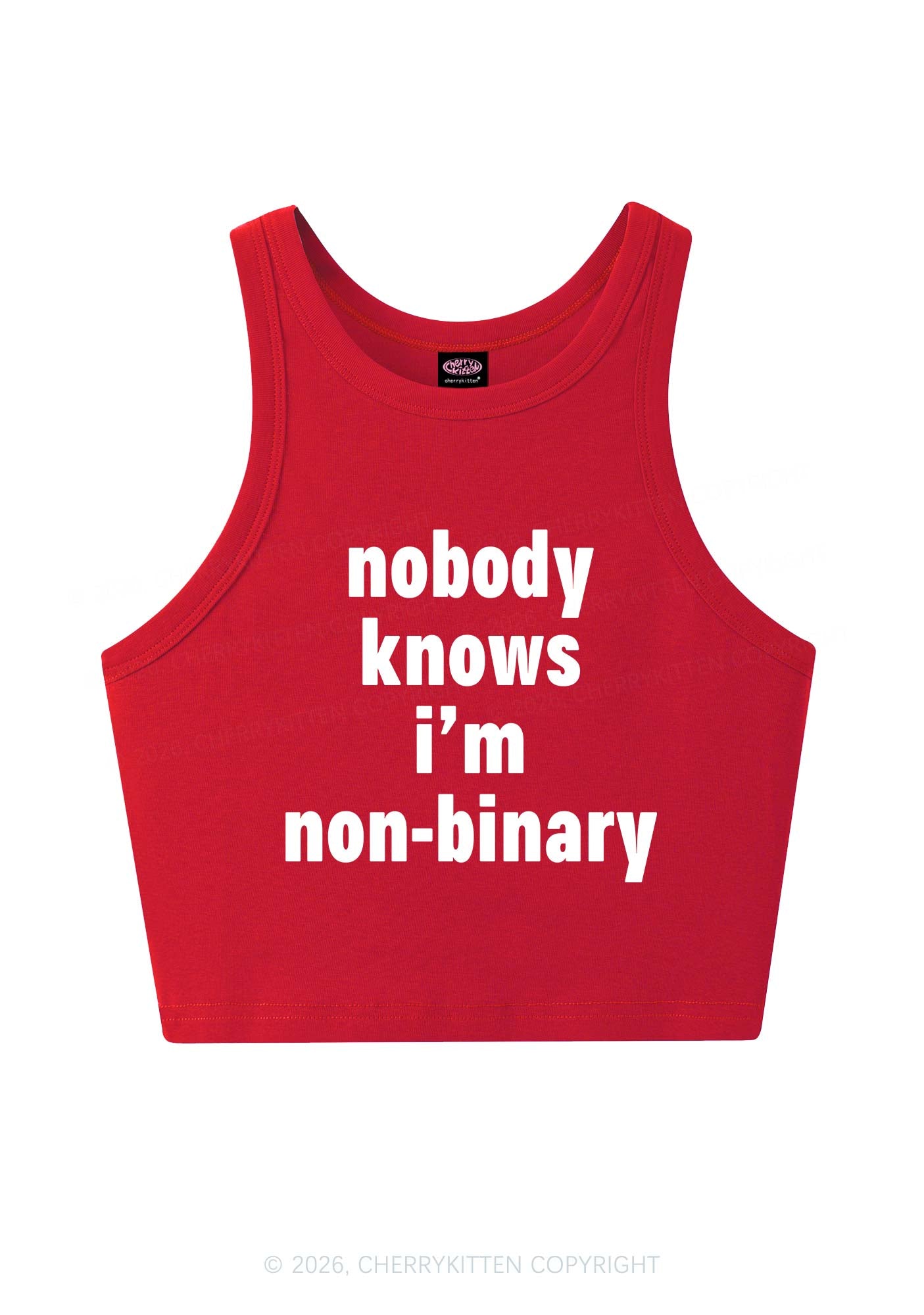 Nobody Knows Im Nonbinary Pride Y2K Crop Tank Top Cherrykitten