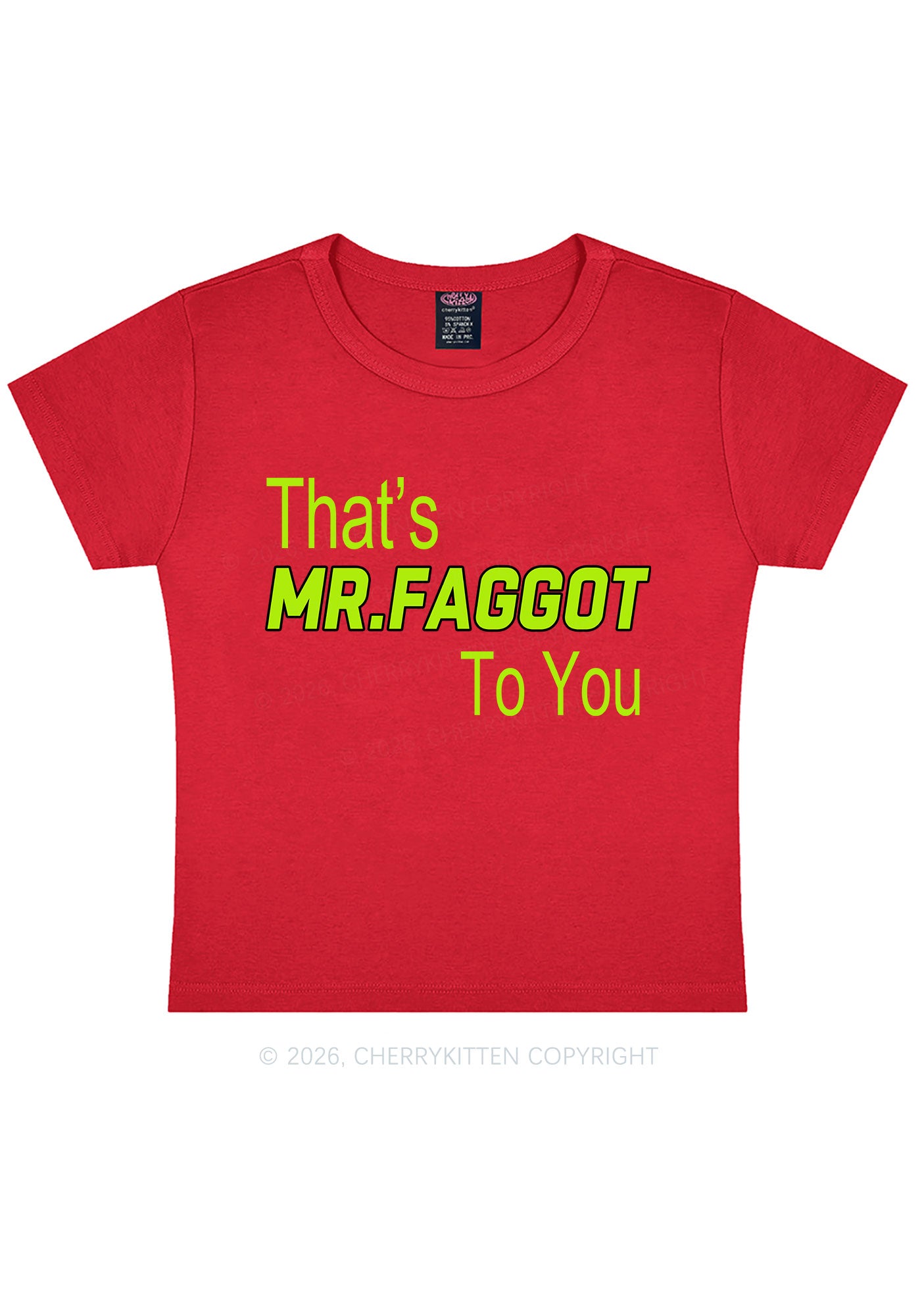 Thats Mr Faggot To You Pride Y2K Baby Tee Cherrykitten