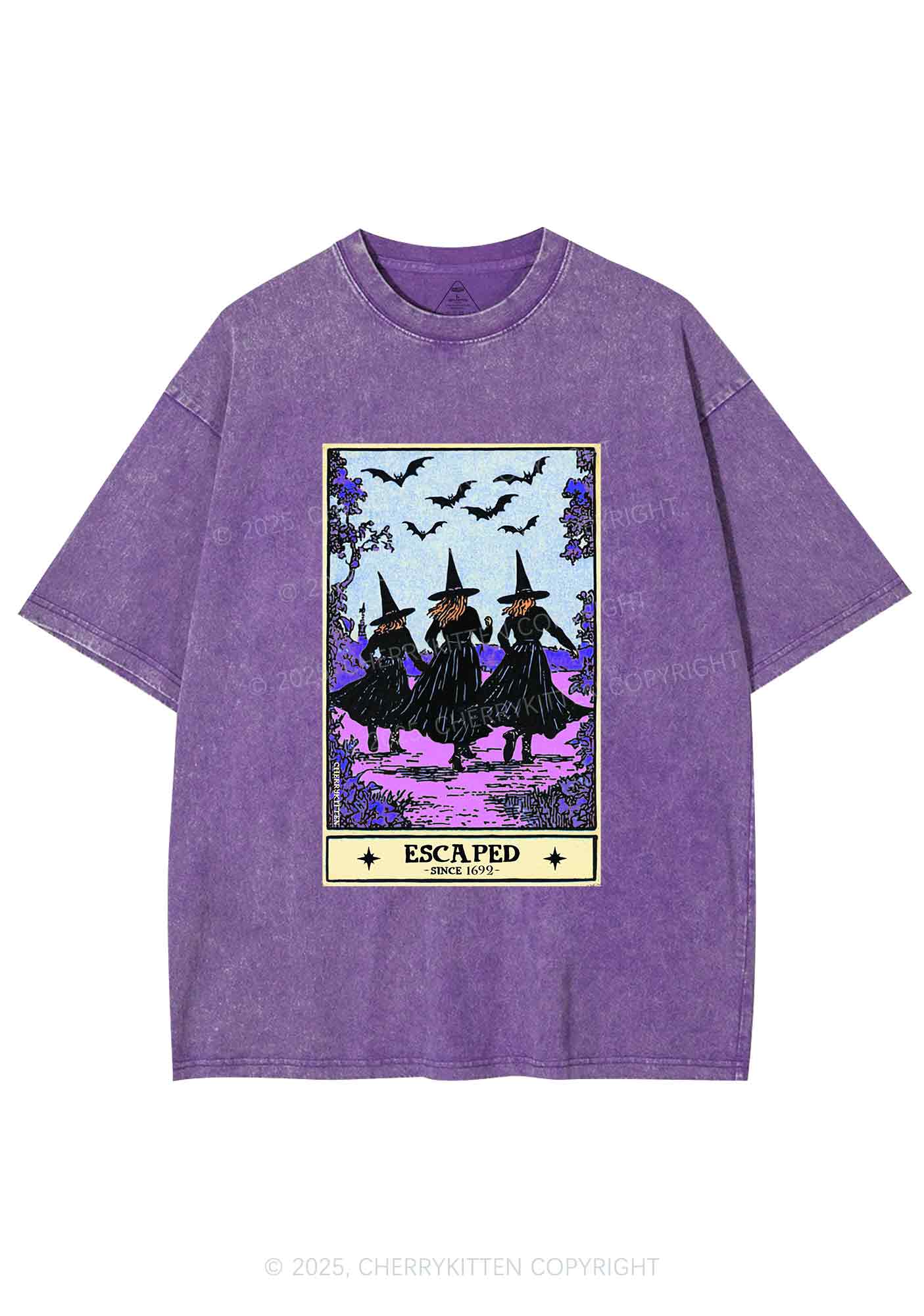 Halloween Escaped Witch Y2K Shirts Washed Tee Cherrykitten