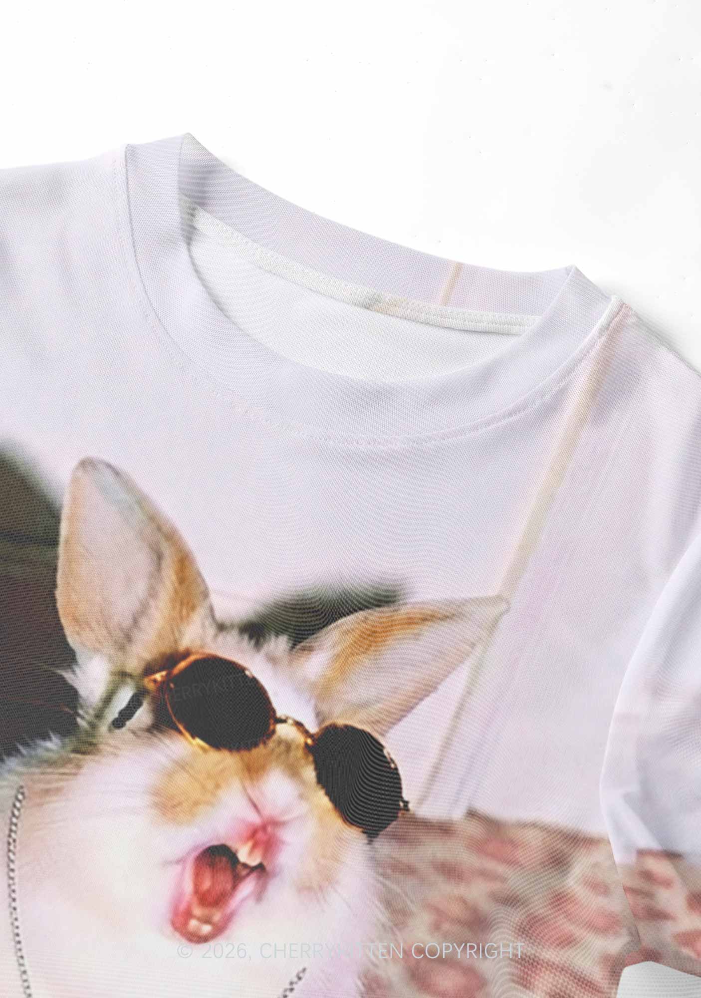 Dj Bunny Y2K Mesh Crop Top Cherrykitten