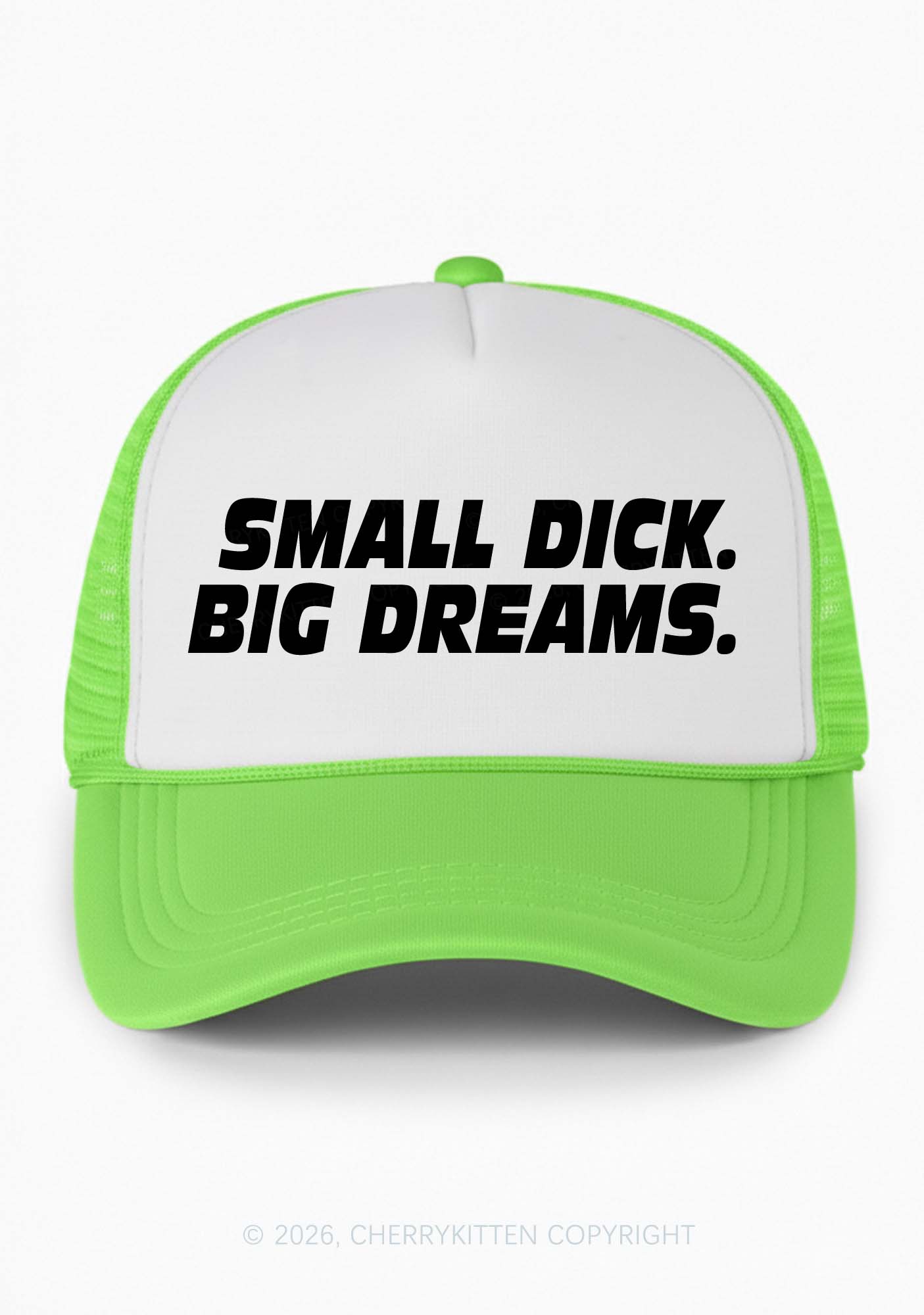 Small Dxxk Big Dreams Y2K Colorblock Trucker Hat Cherrykitten