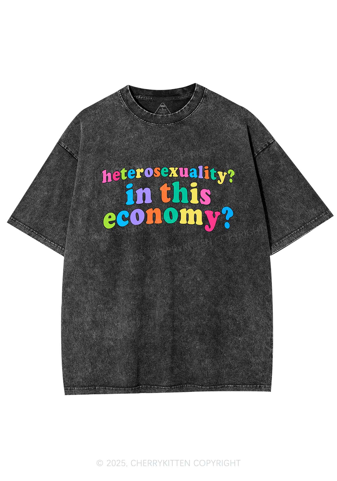 Heterosexuality In This Economy Pride Y2K Shirts Washed Tee Cherrykitten