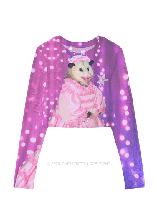 Magic Pink Ratz Y2K Mesh Long Sleeve Crop Top Cherrykitten