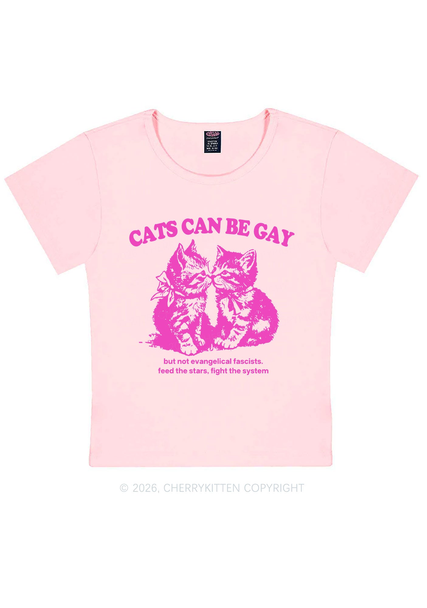 Cat Can Be Gay Pride Y2K Baby Tee Cherrykitten