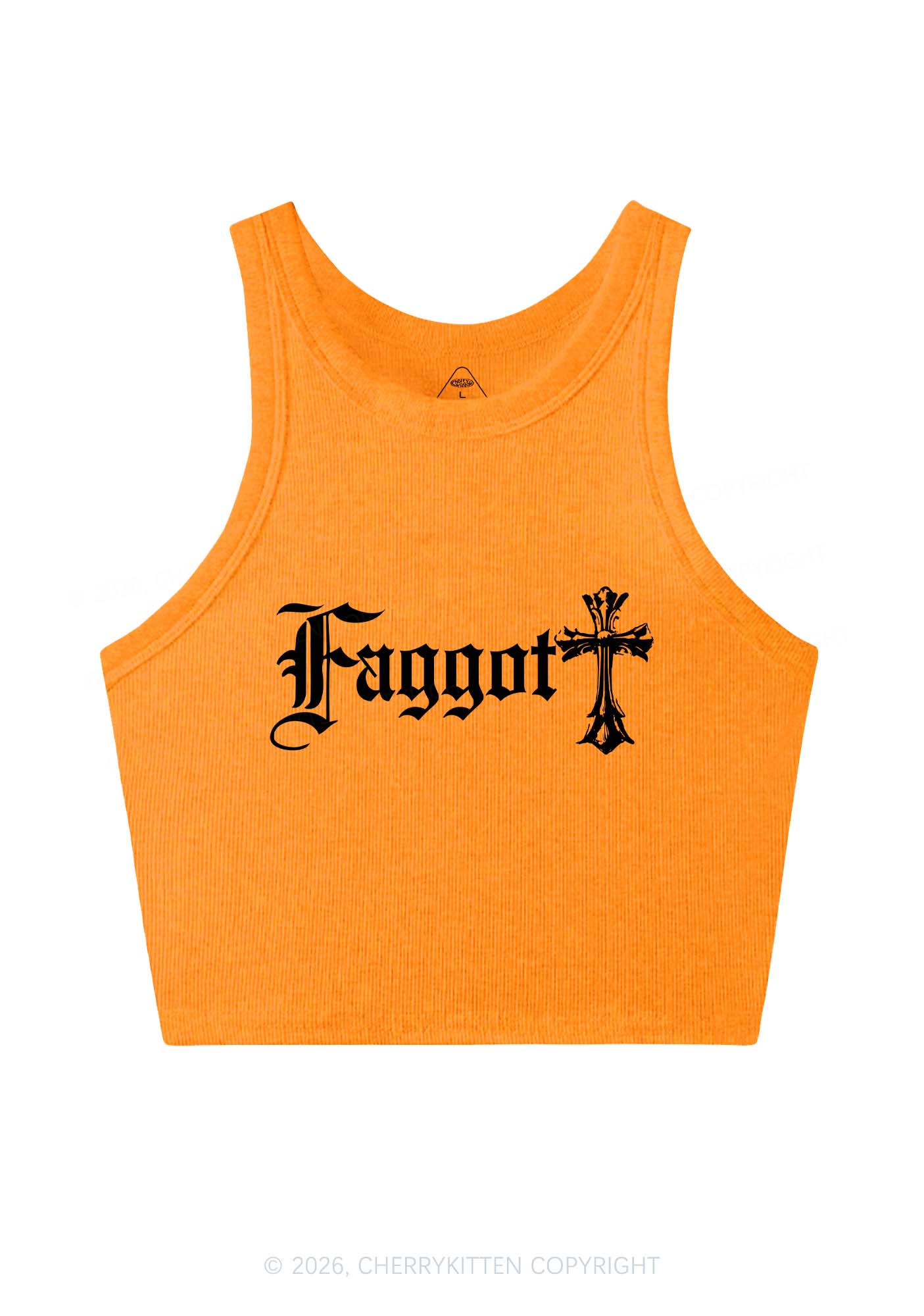 Goth Faggot Pride Y2K Crop Tank Top Cherrykitten