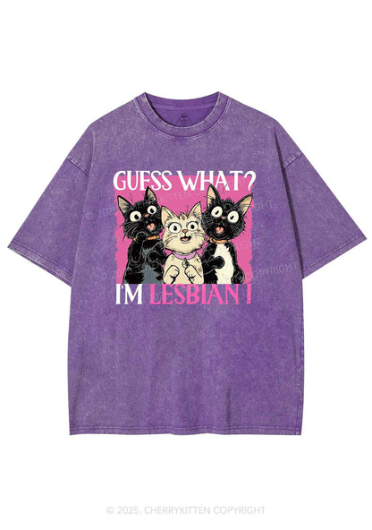 Im Lesbian Cat Pride Y2K Shirts Washed Tee Cherrykitten