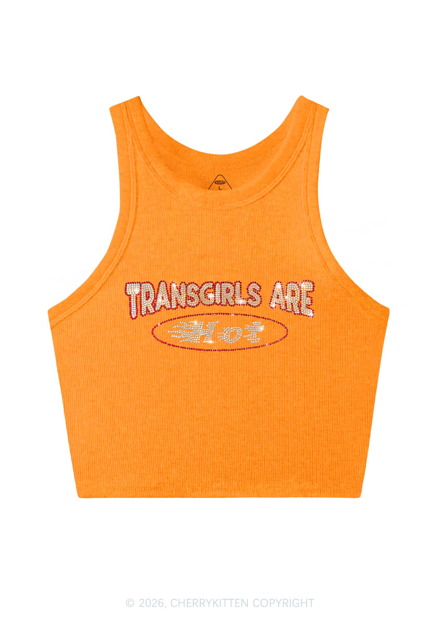 Rhinestone Transgirls Are Hot Pride Y2K Crop Tank Top Cherrykitten
