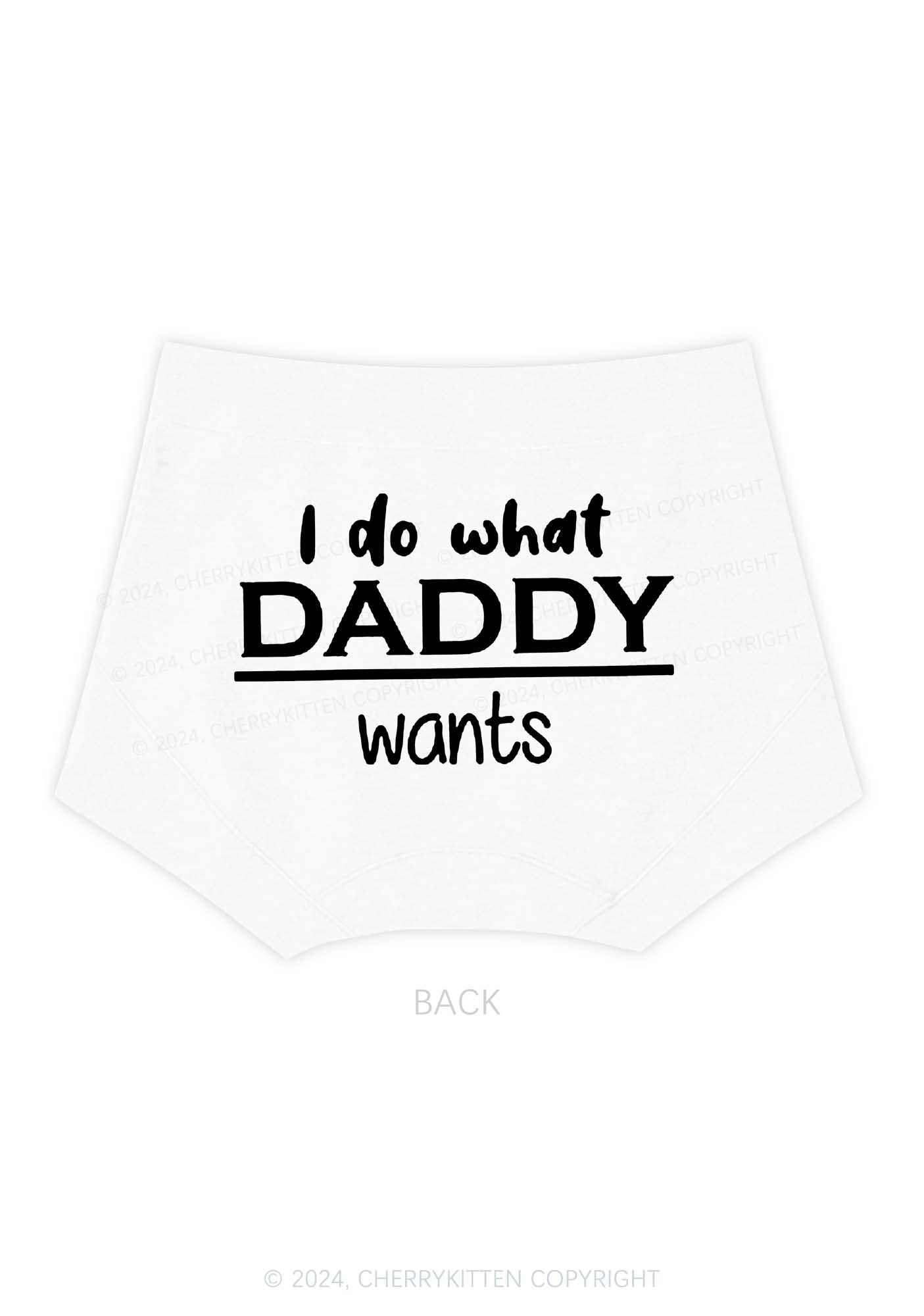 Do What Daddy Wants Y2K Mid Rise Waist Boyshort Cherrykitten