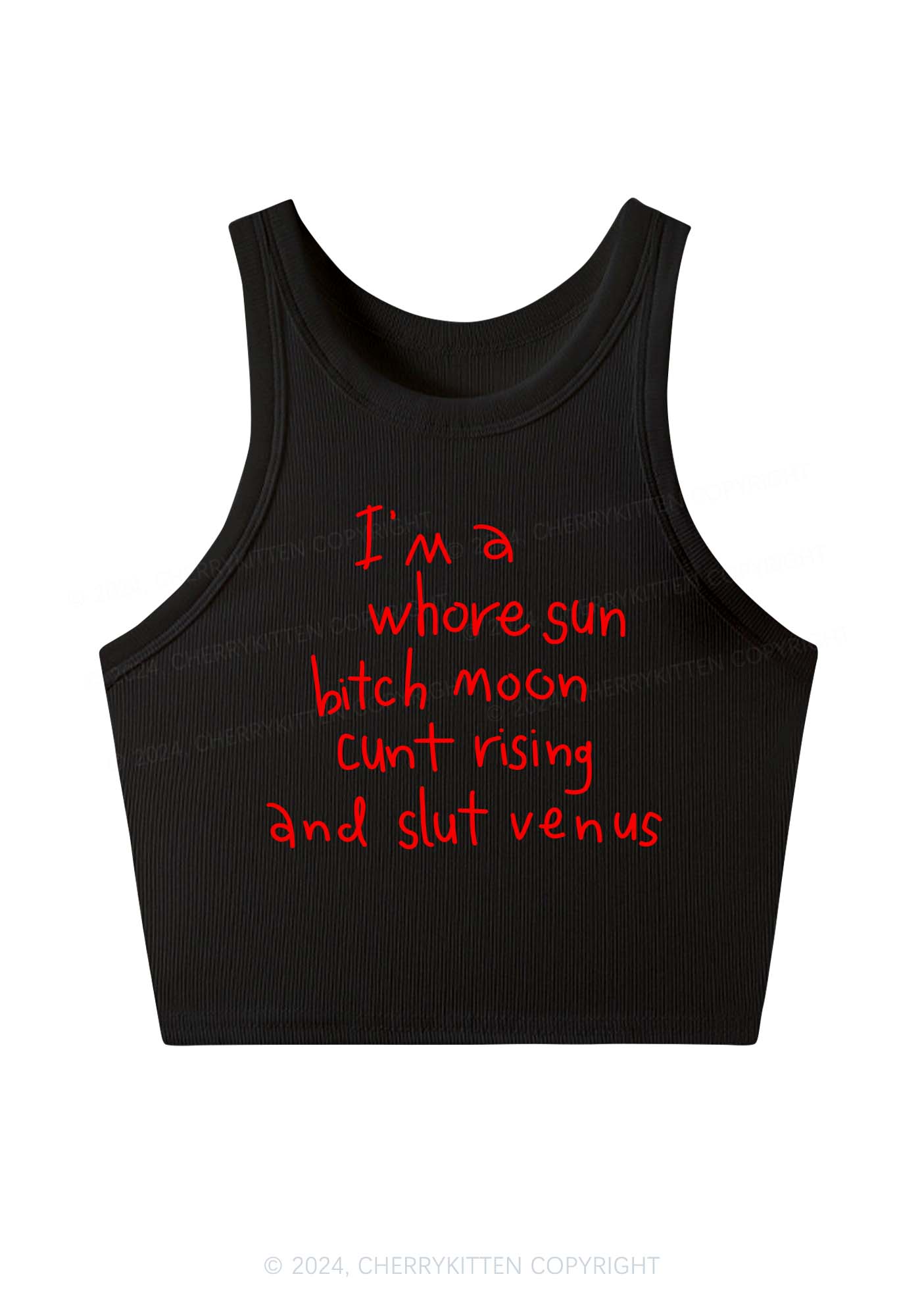 Whole Sun Bxxch Y2K Crop Tank Top Cherrykitten