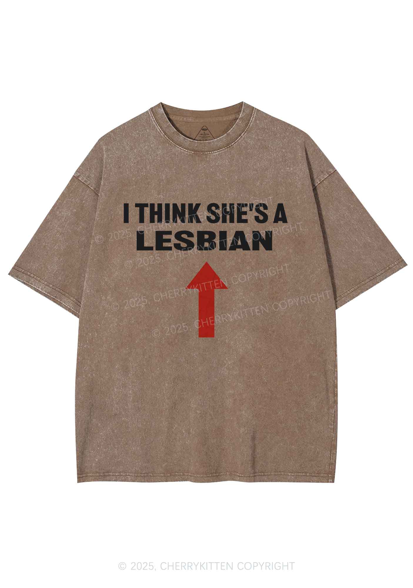 I Think She's A Lesbian Y2K Shirts Washed Tee Cherrykitten