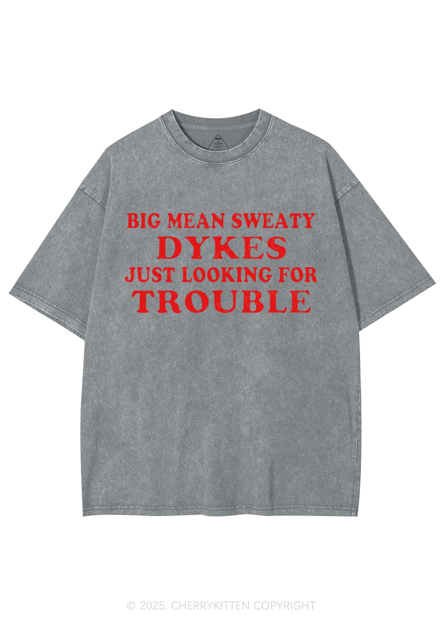 Dykes Trouble Y2K Shirts Washed Tee Cherrykitten