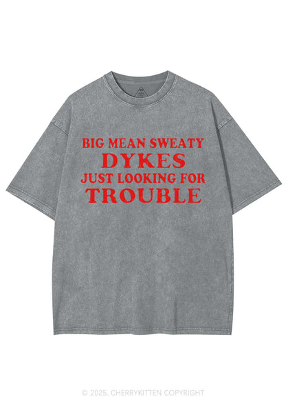 Dykes Trouble Y2K Shirts Washed Tee Cherrykitten