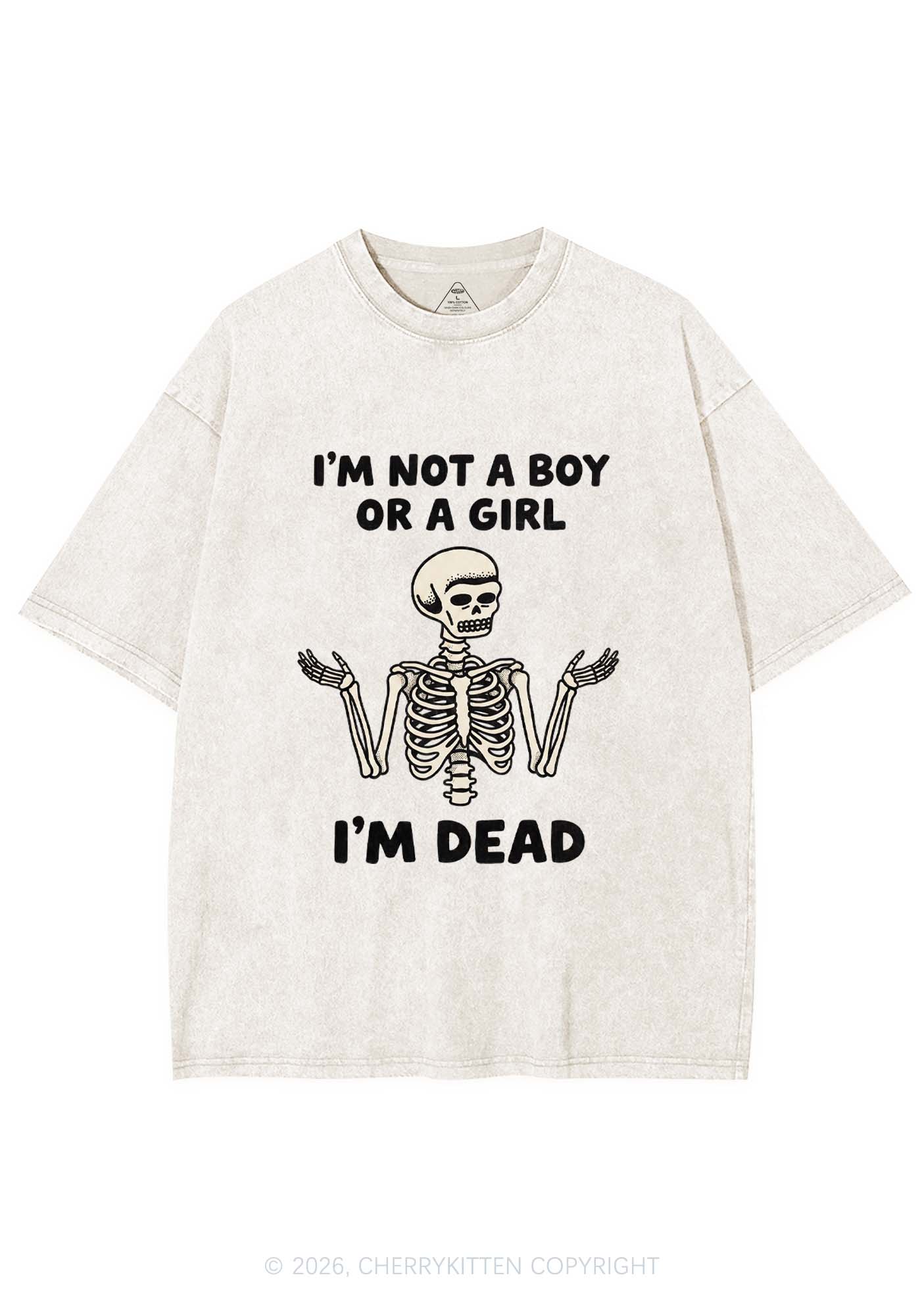 Im Not A Boy Or A Girl Pride Y2K Shirts Washed Tee Cherrykitten