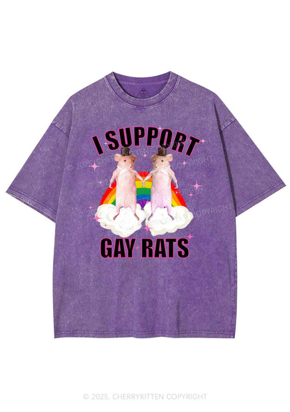 Support Gay Rats Pride Y2K Shirts Washed Tee Cherrykitten